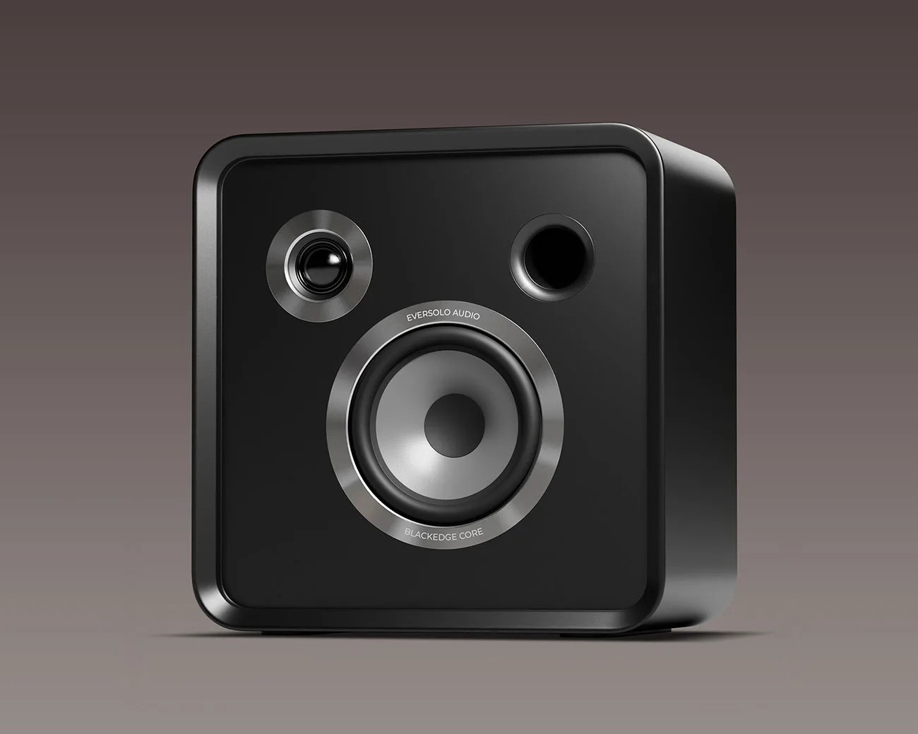 Black rectangular speaker with rounded edges featuring a large central woofer, smaller tweeter, and port hole.