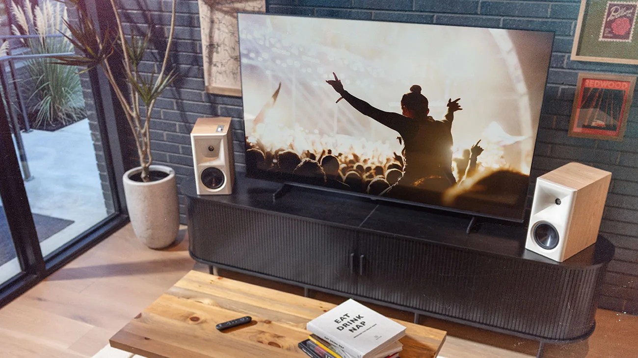 Flat-screen TV on a black media console with two wooden speakers, a potted plant, and a wooden coffee table with books and a remote.