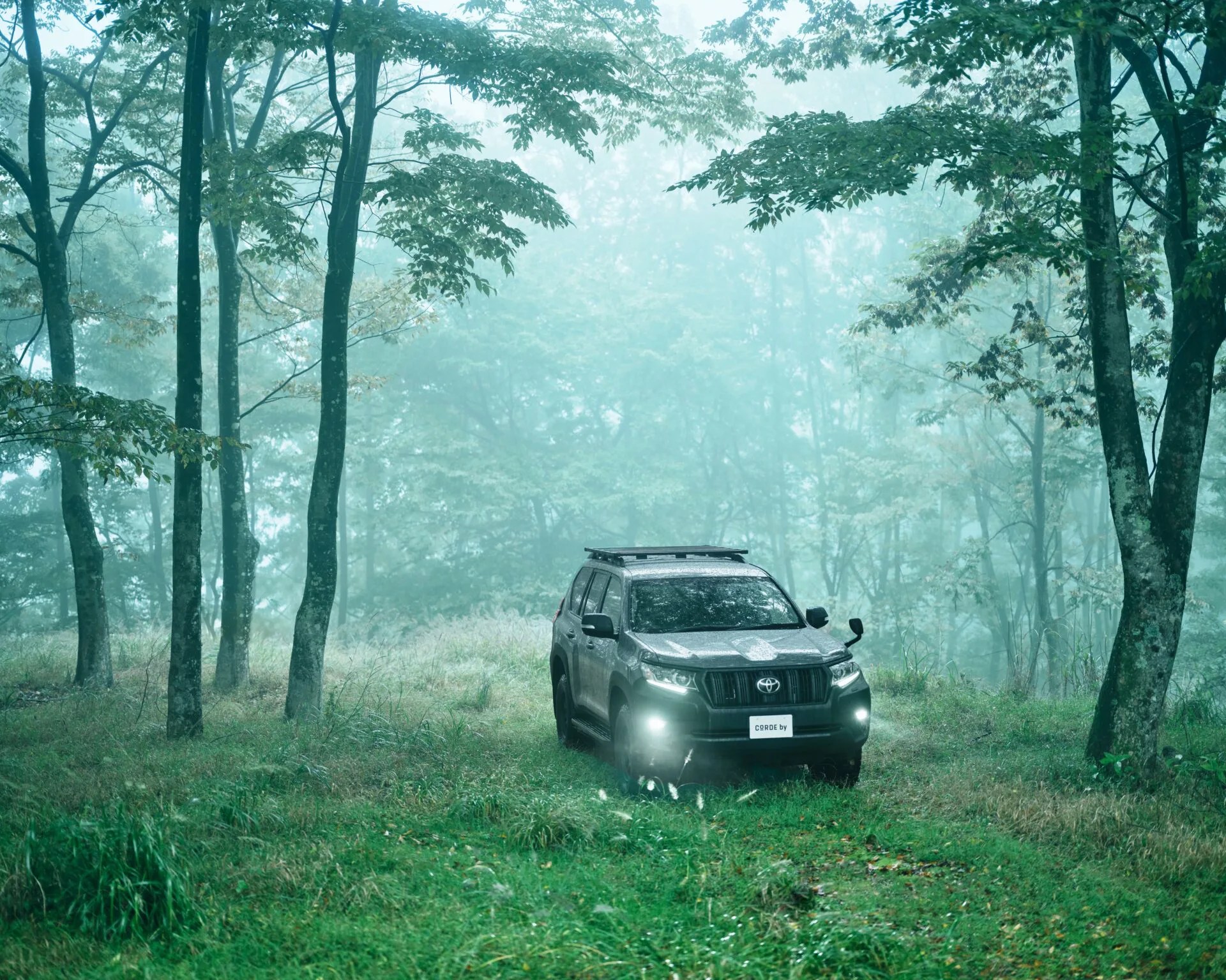 Gray Toyota SUV with headlights on driving through a misty forest clearing with green grass and trees.
