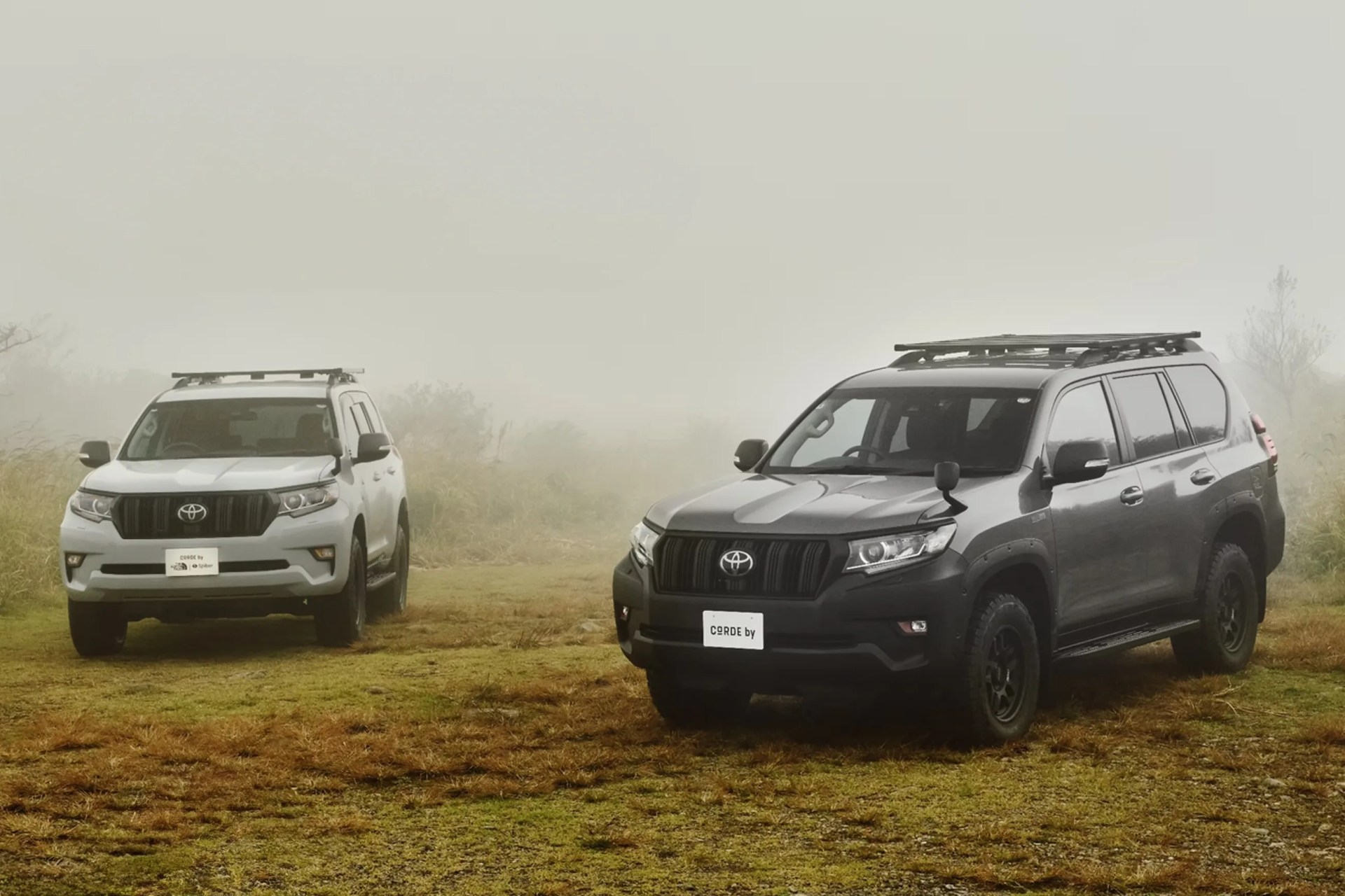 Two Toyota SUVs, one black and one white, parked on grassy terrain in foggy weather.