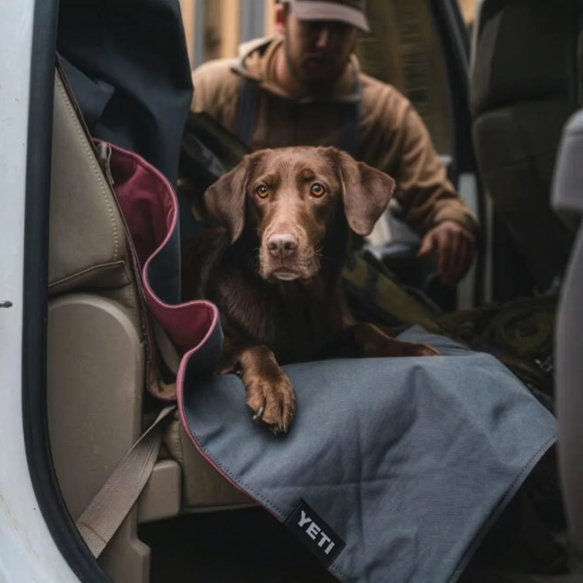 Chocolate Labrador lying on a blue YETI-branded car seat cover inside a vehicle.