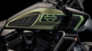 Close-up of a green and black Harley-Davidson motorcycle fuel tank with "1250" and engine details visible.