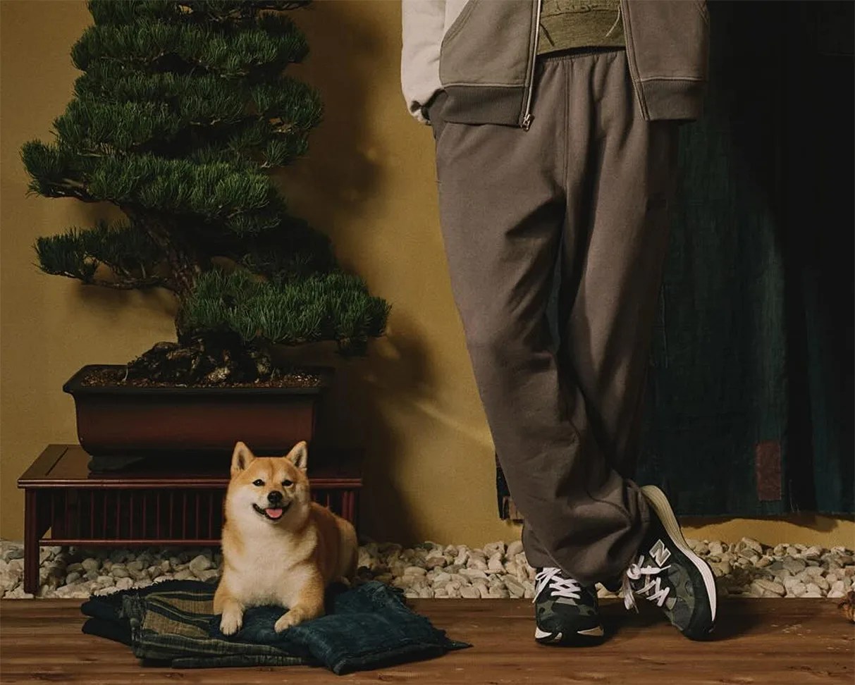 Shiba Inu dog lying on folded dark denim jeans next to a person wearing gray pants and black New Balance sneakers.