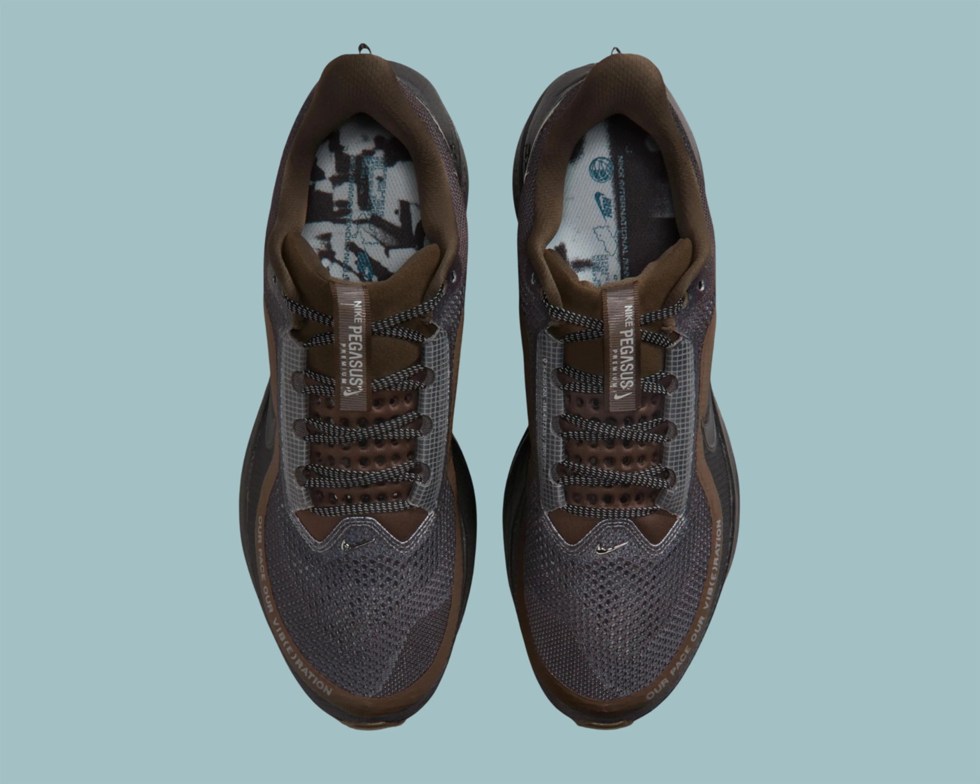 Pair of brown and gray Nike Pegasus running shoes viewed from above on a light blue background.