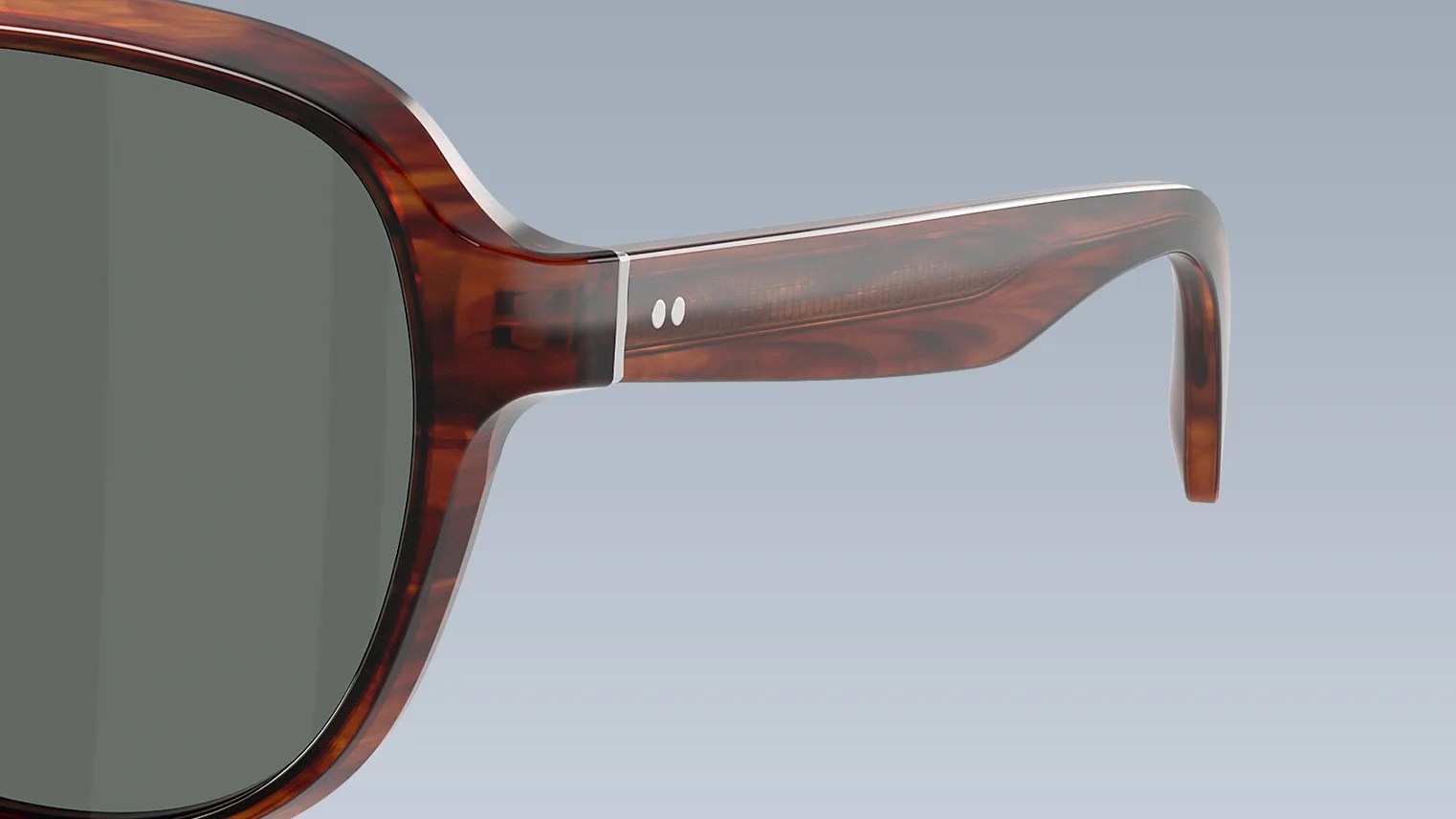 Close-up of tortoiseshell-patterned sunglasses arm with dark lenses and silver hinge details.