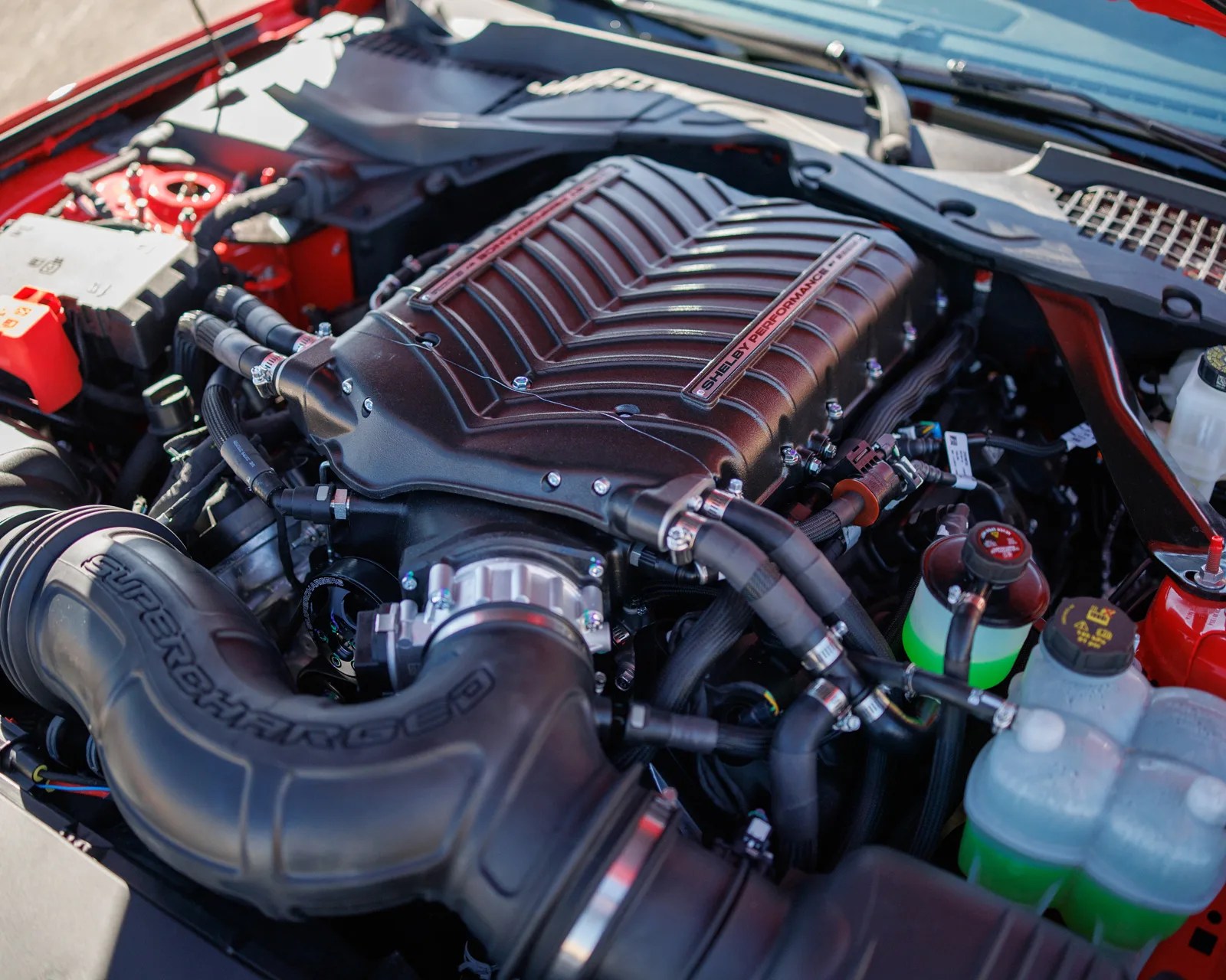 Black supercharged engine with "Shelby Performance" label inside a red car engine bay.