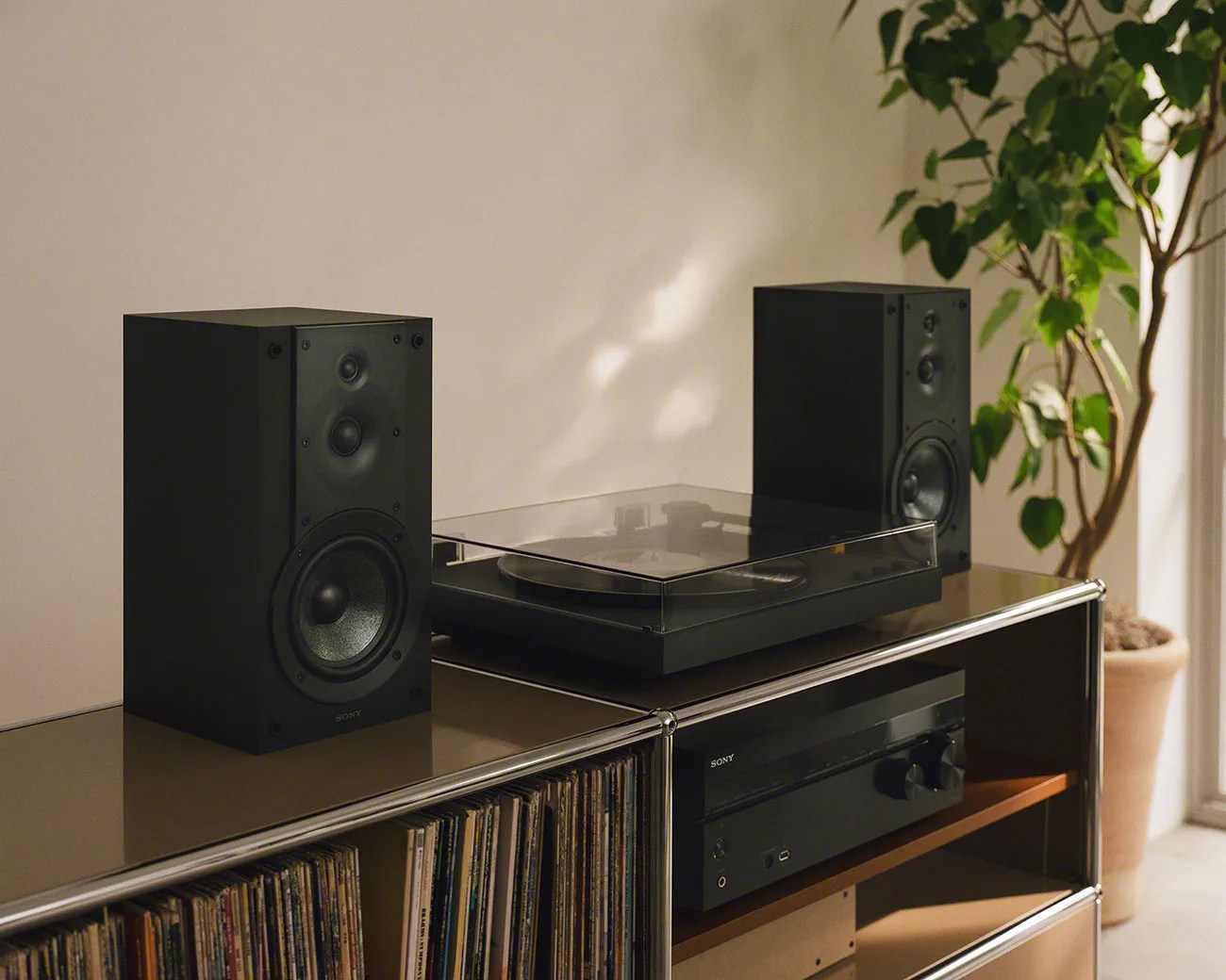 Black Sony bookshelf speakers, a turntable with a clear dust cover, and a Sony amplifier on a brown shelf with vinyl records below.