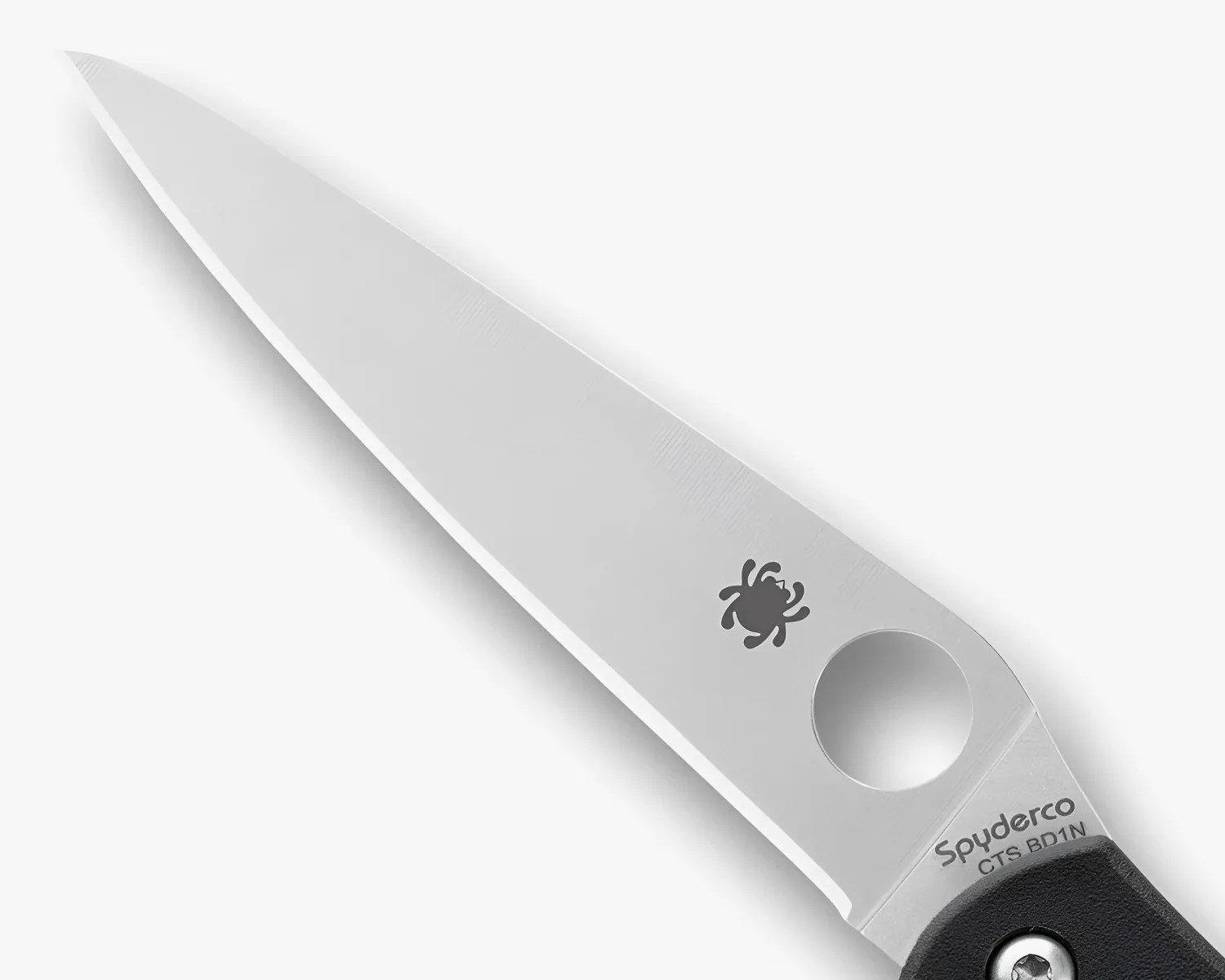 Close-up of a Spyderco knife blade with a round hole and spider logo near the handle.