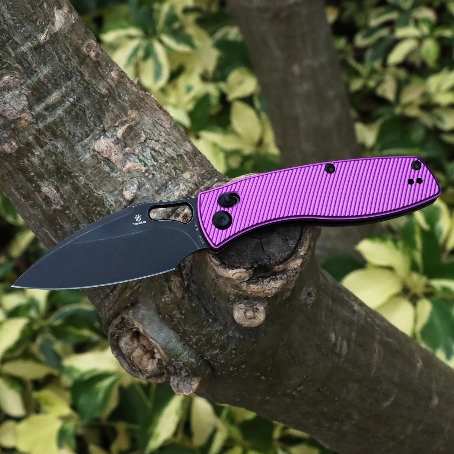 Folding knife with a black blade and textured purple handle resting on a tree branch.