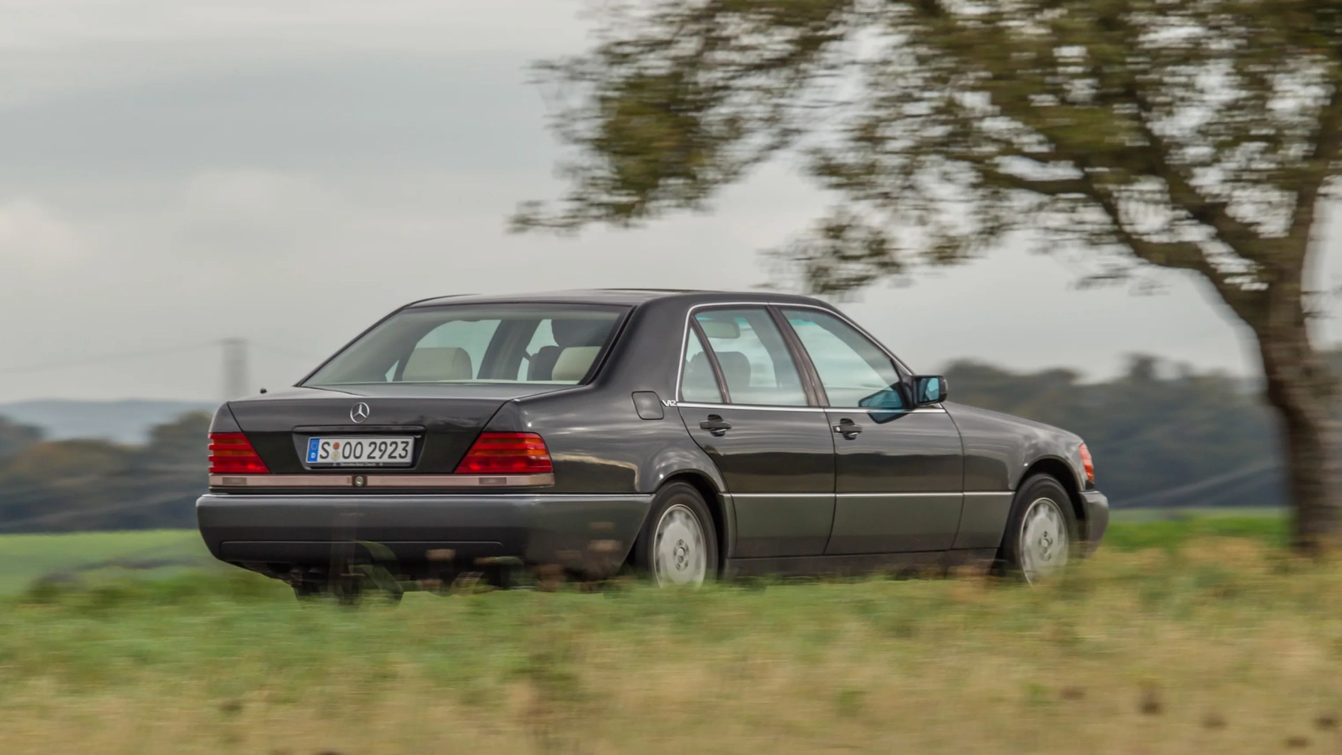 Dark gray Mercedes-Benz sedan with V12 badge driving on a grassy field near a tree.