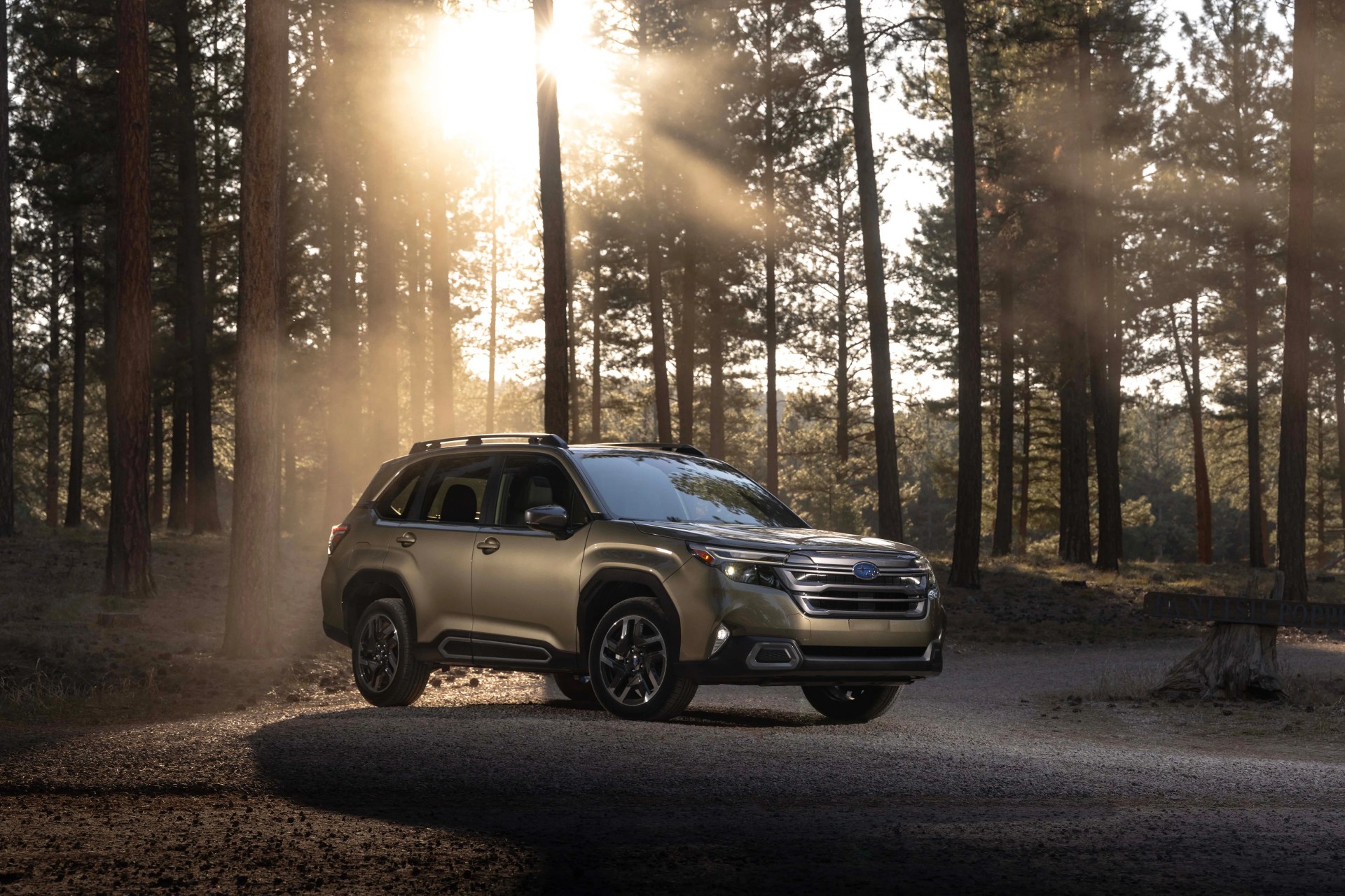 Metallic beige Subaru SUV parked on a forest dirt road with sunlight filtering through tall pine trees.
