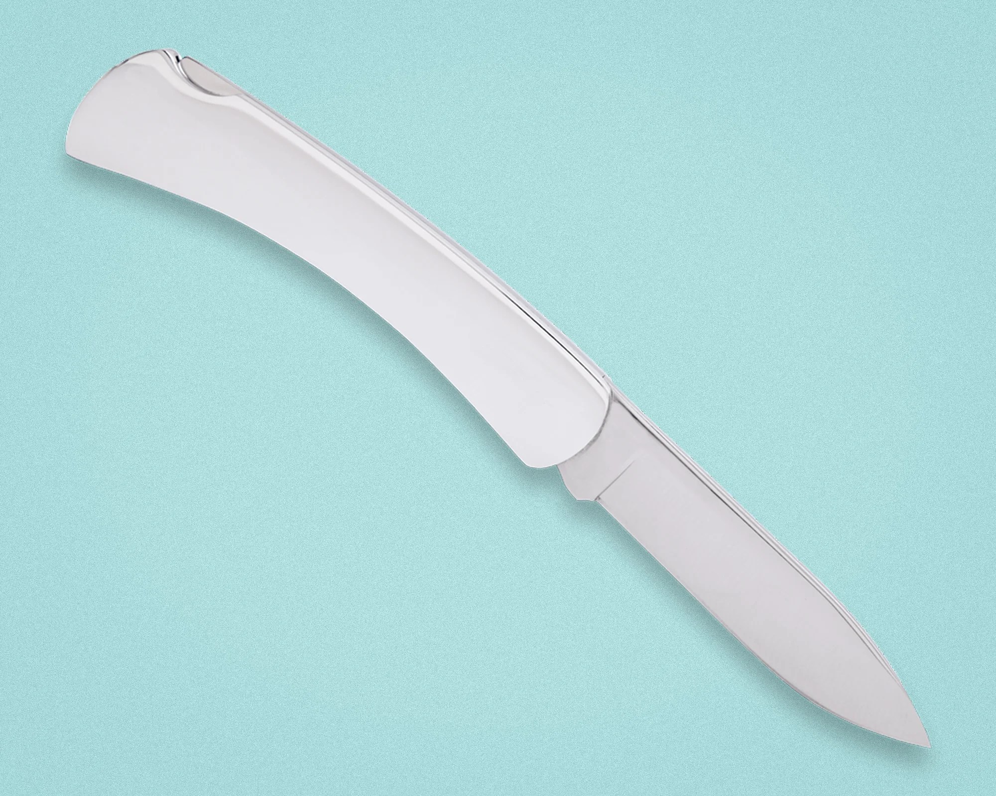 Polished stainless steel folding knife with a curved handle on a light blue background.