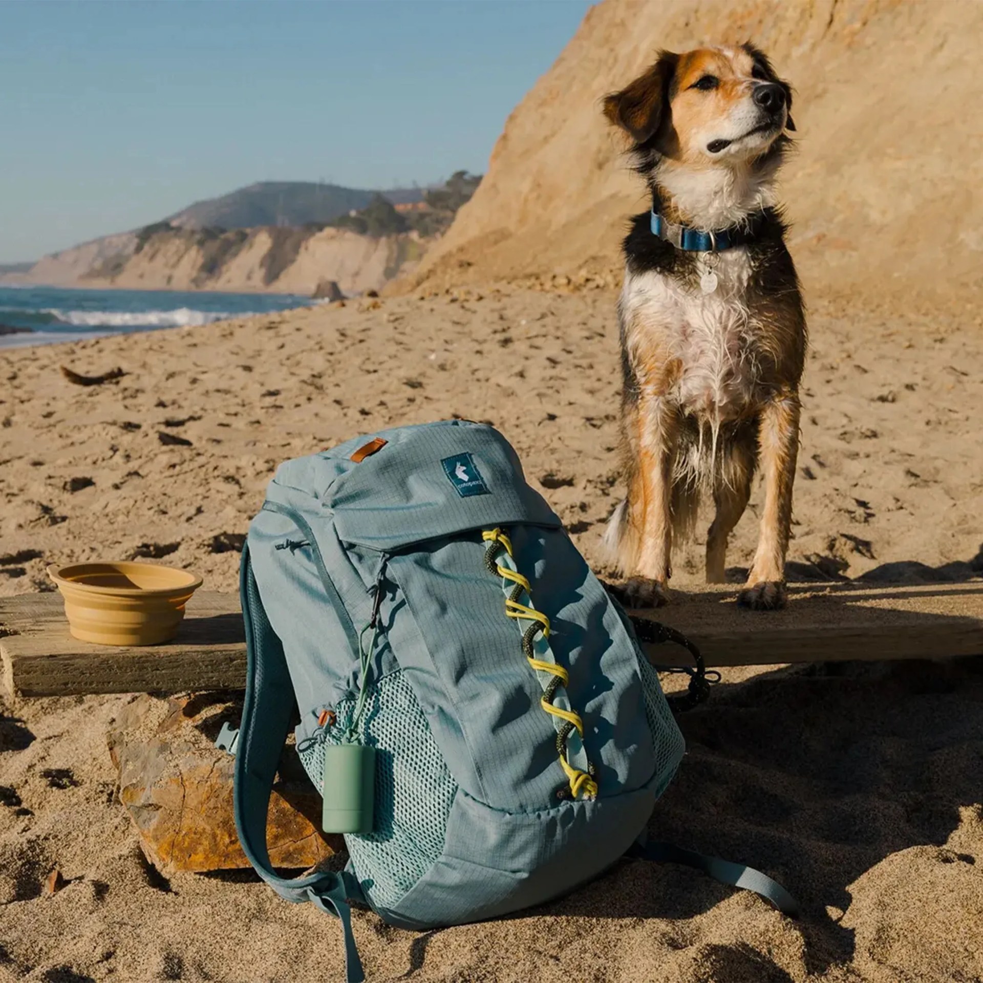 Blue-gray hiking backpack with yellow bungee cord and green accessory on sandy beach next to a dog.