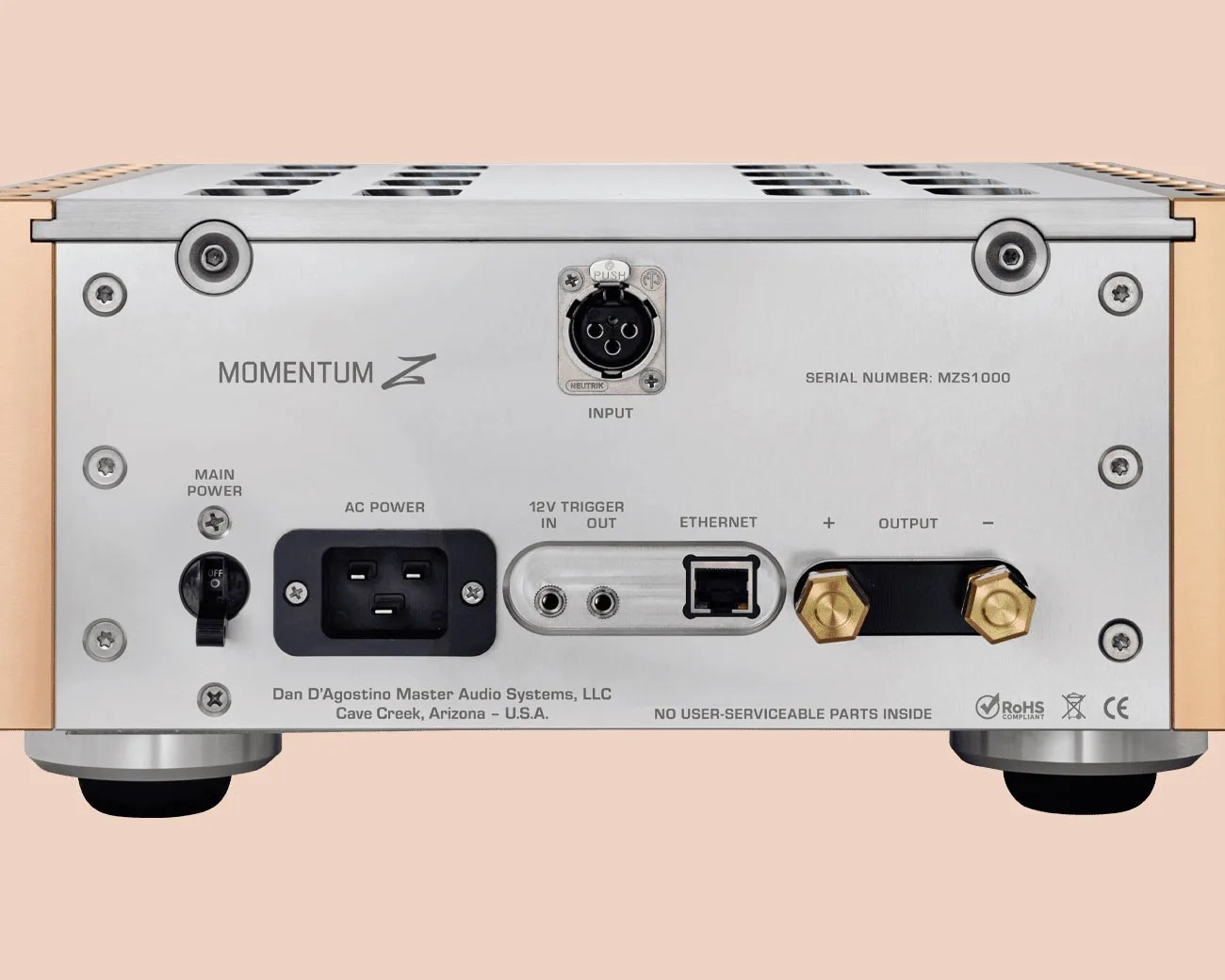 Rear panel of a Momentum Z audio amplifier showing power switch, AC power input, 12V trigger ports, Ethernet port, balanced input, and speaker output terminals.