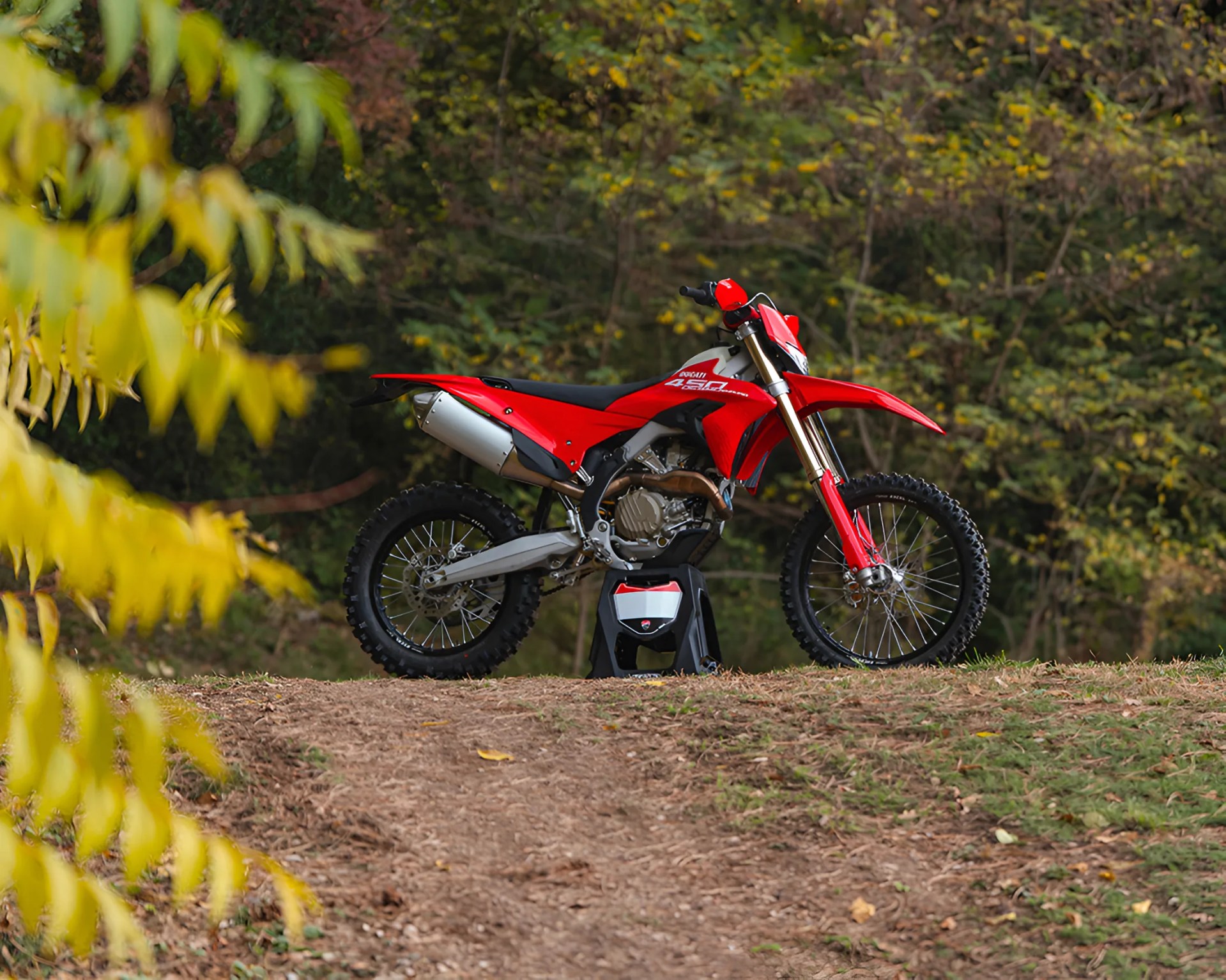 Red dirt bike with black tires and silver exhaust on a stand outdoors with trees in the background.