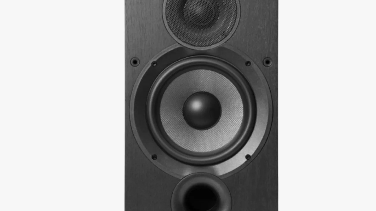 Black wooden speaker cabinet with two drivers and a bass reflex port.
