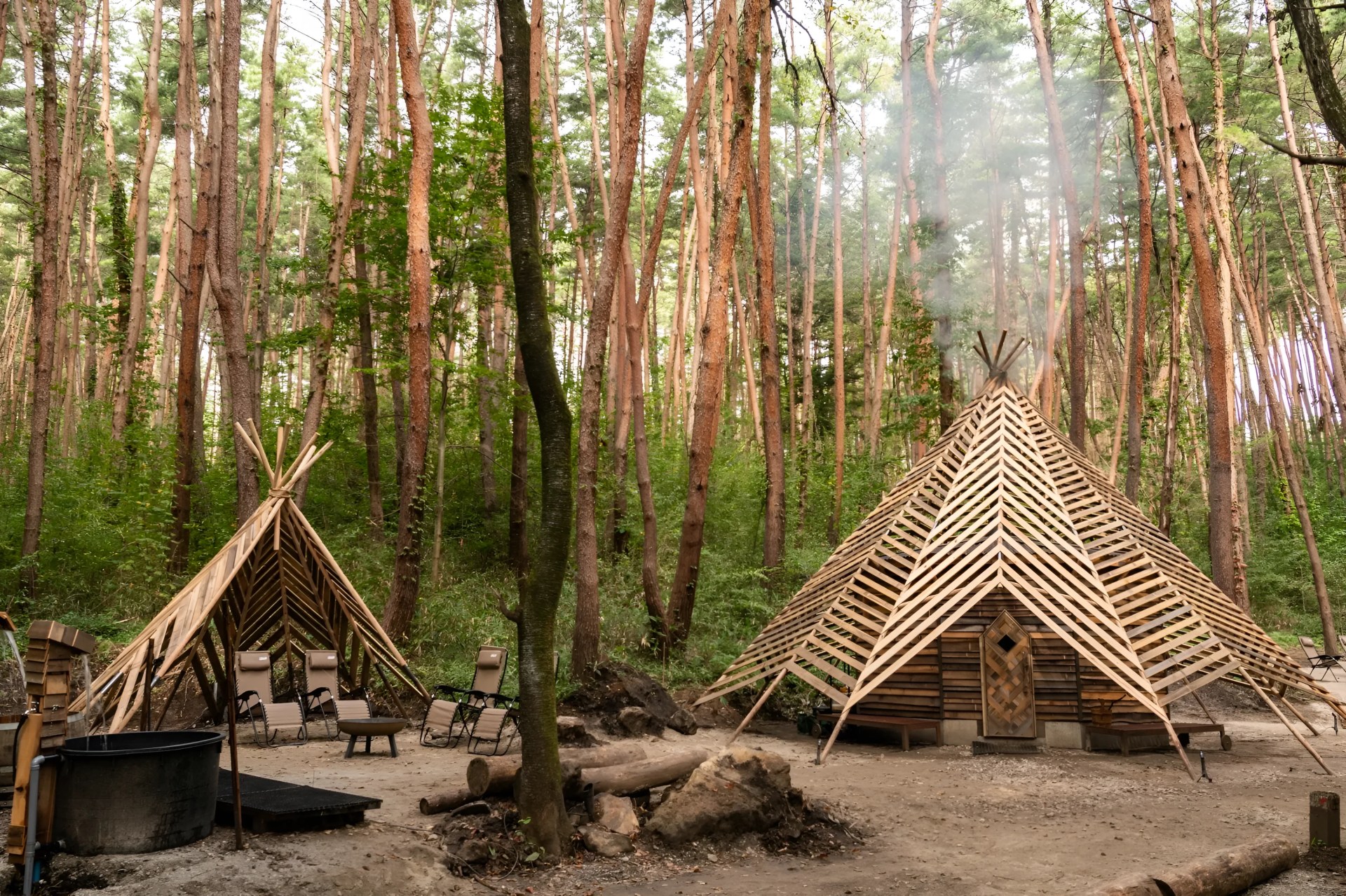 Wooden teepee-style structures with slatted roofs in a forest clearing surrounded by tall pine trees.