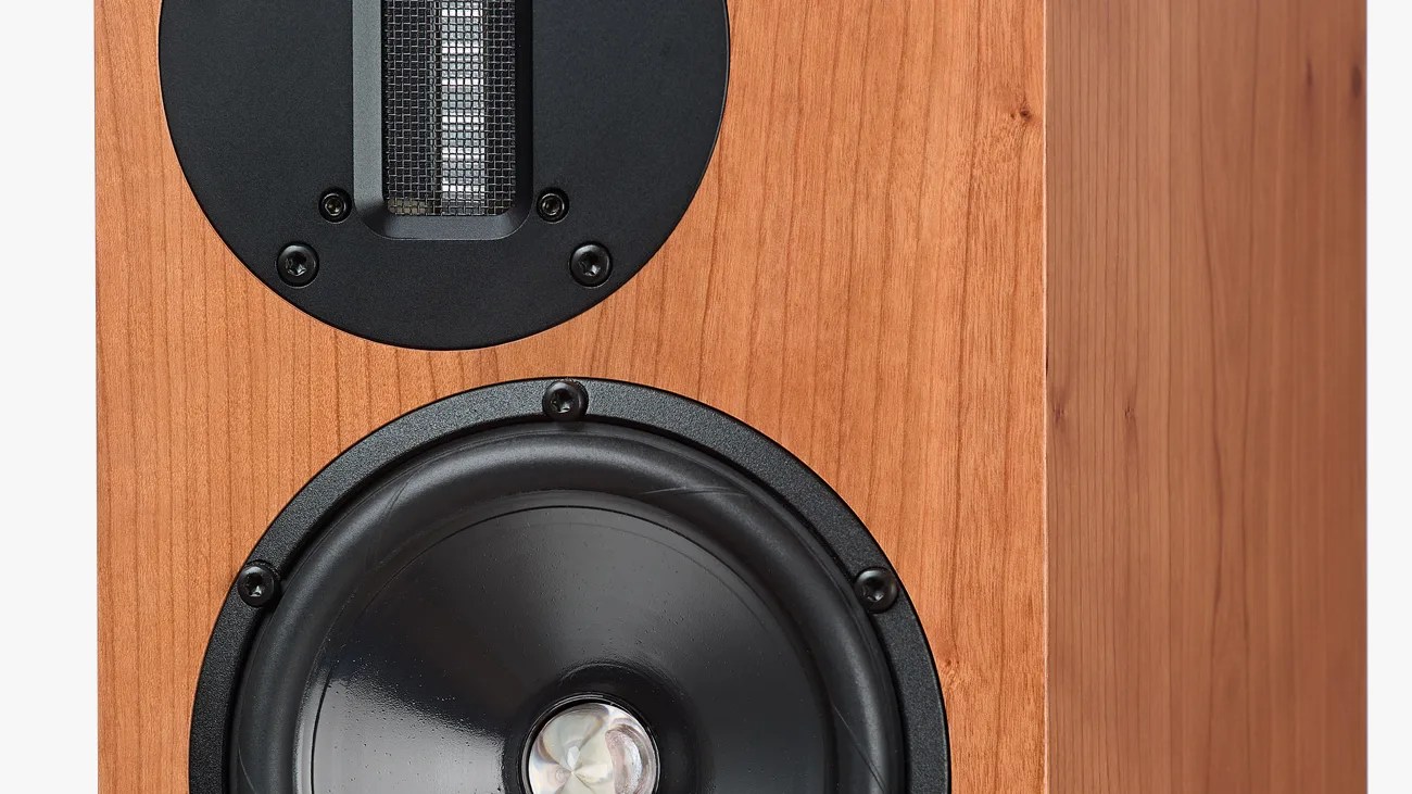 Close-up of a wooden speaker cabinet featuring a black midrange driver and a rectangular ribbon tweeter.