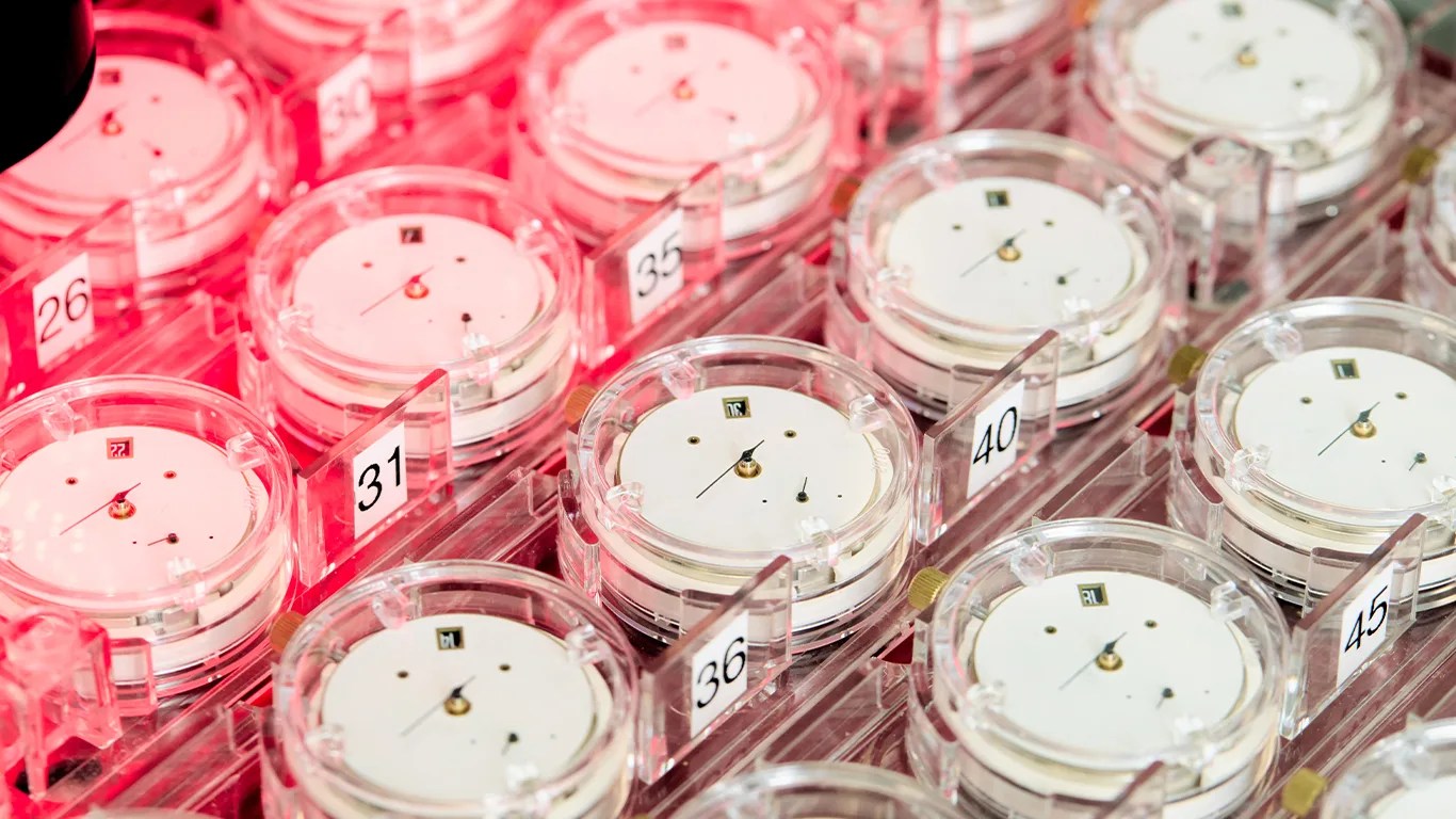 Multiple white watch movements with clear plastic cases arranged in numbered slots under red lighting.