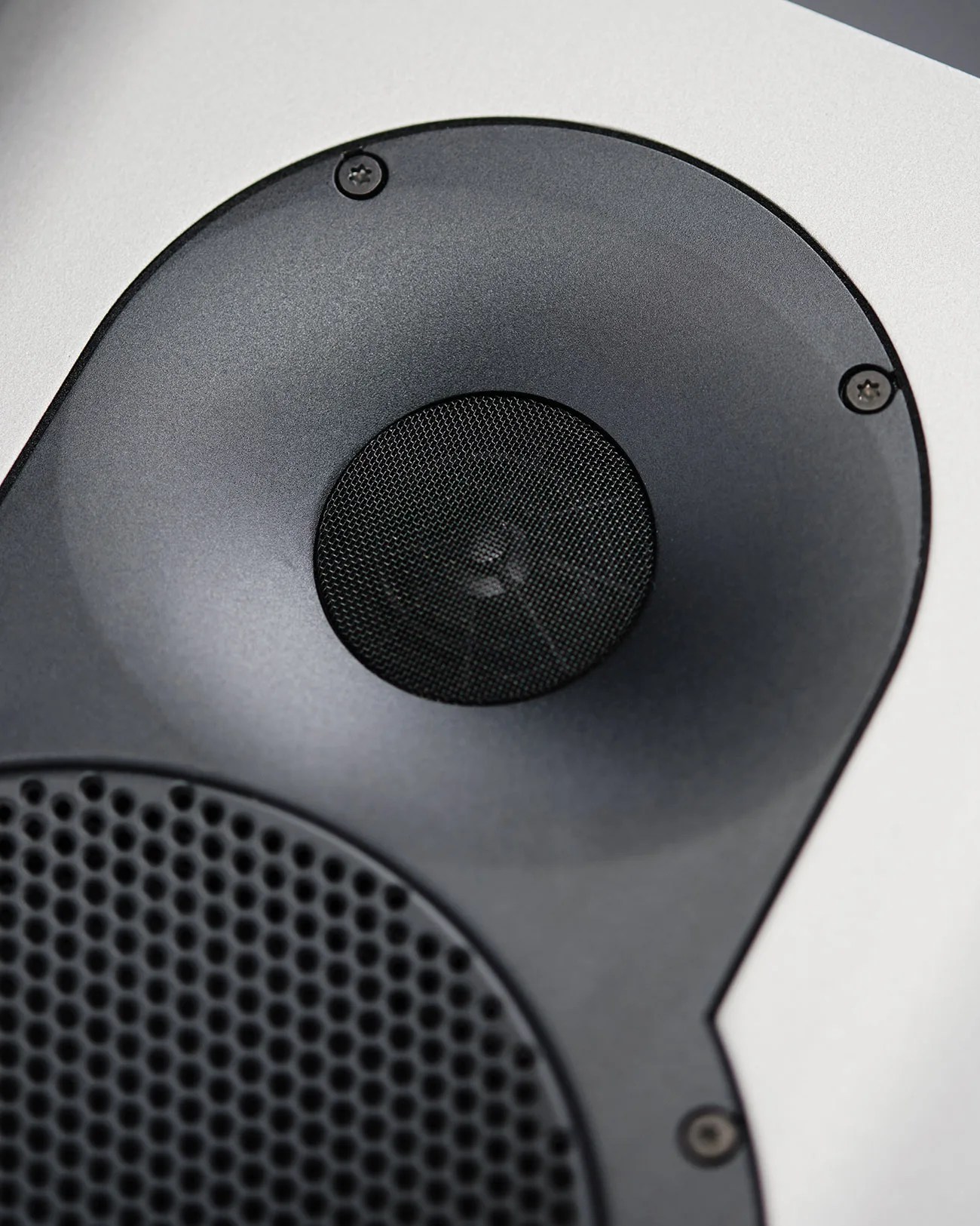 Close-up of a black speaker driver with a mesh center and surrounding screws on a silver panel.