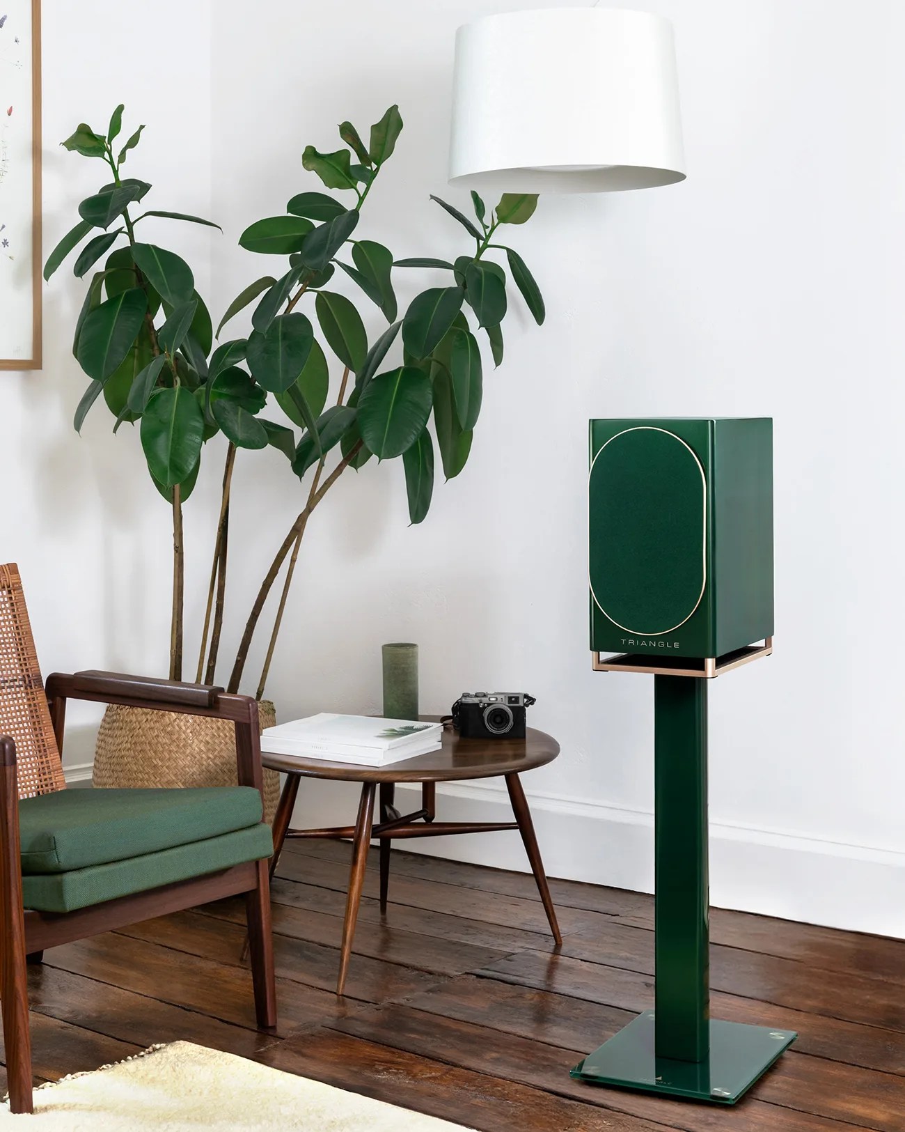 Green bookshelf speaker on matching stand next to wooden table with camera and books in a living room.