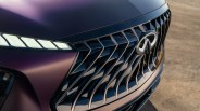 Close-up of a dark purple car front grille with a chrome Infiniti logo and LED headlight.