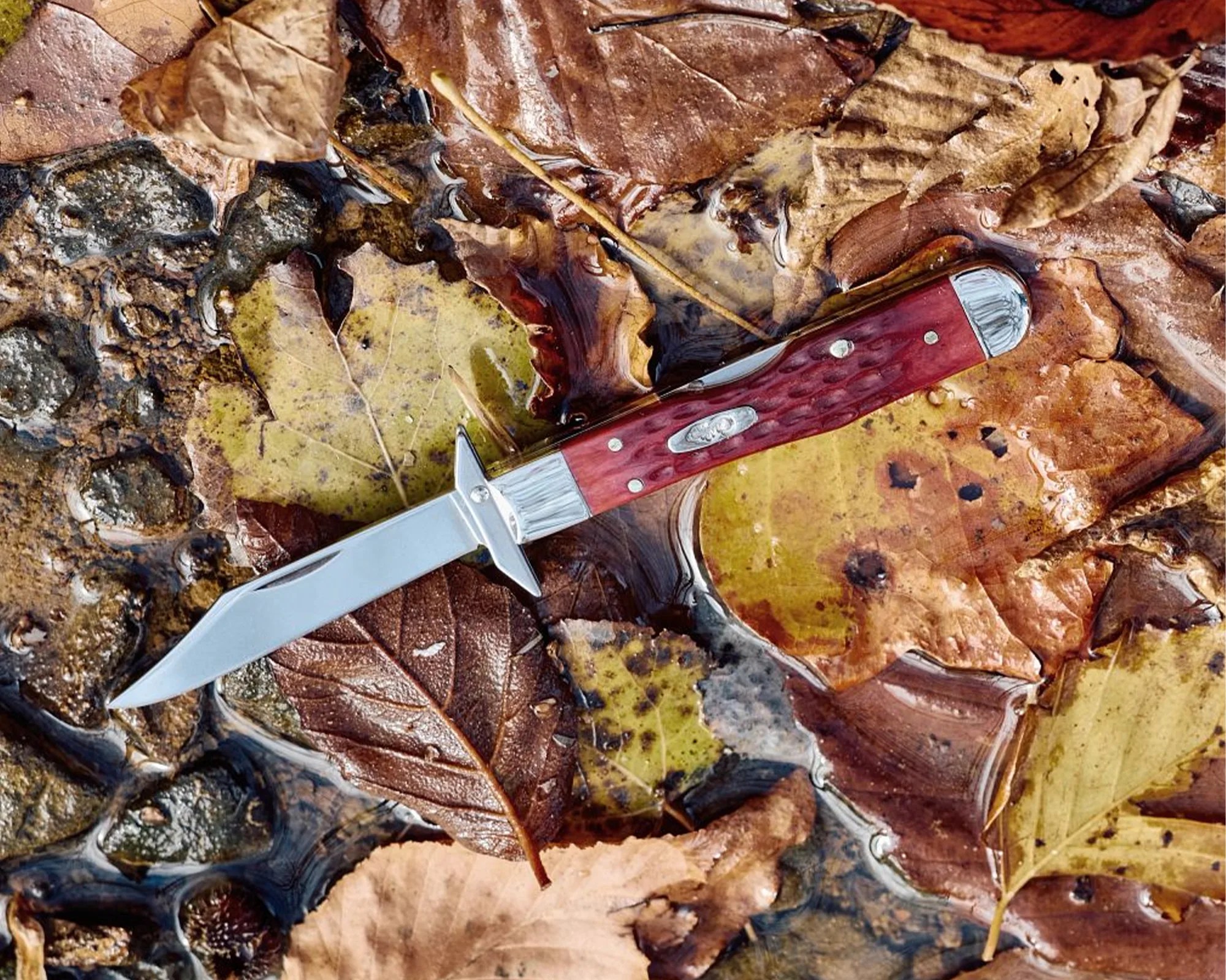 Folding pocket knife with a red textured handle and a silver blade resting on wet autumn leaves.