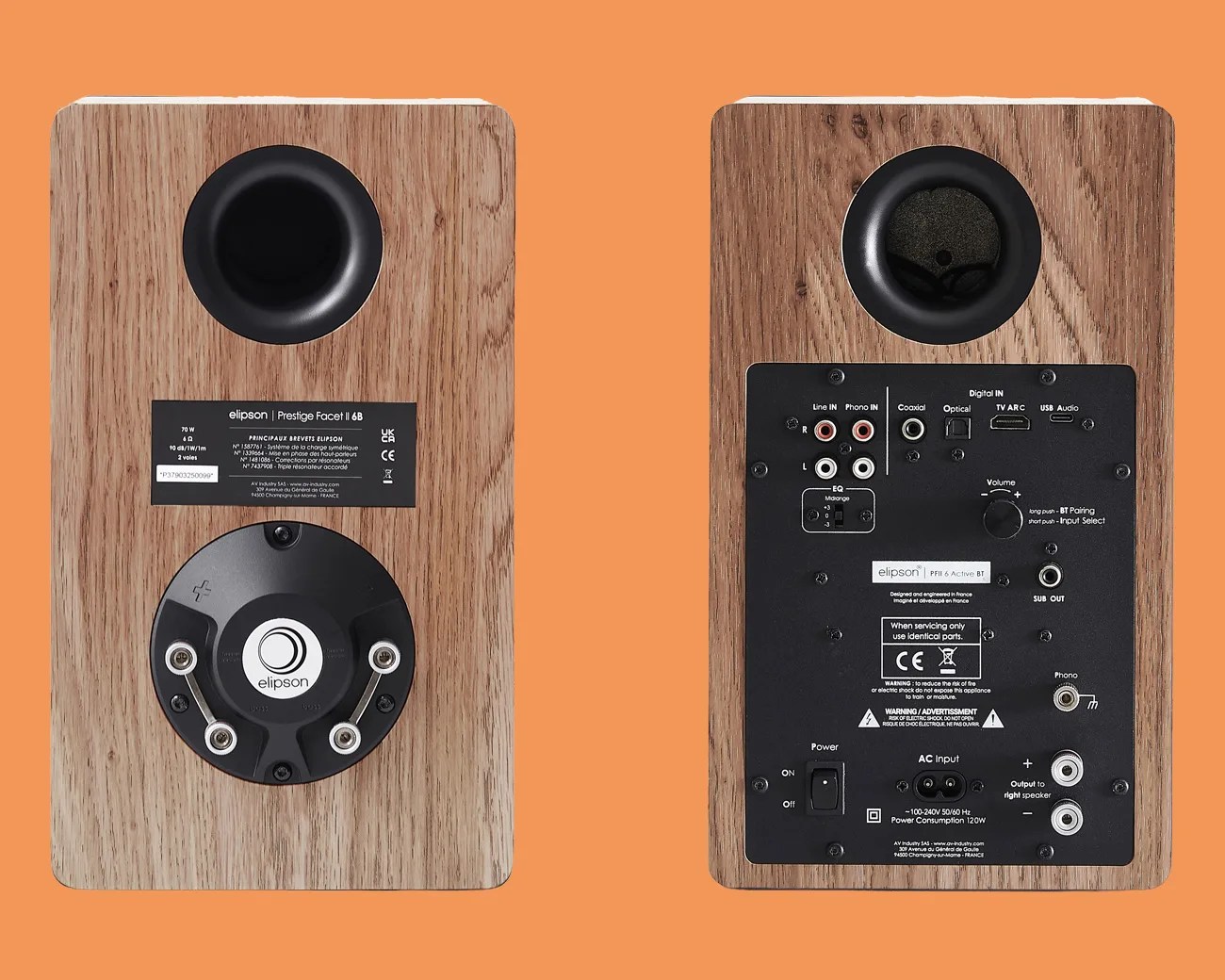 Pair of wooden Elipson Prestige Facet II 6B speakers showing front and back panels with various audio input/output ports.