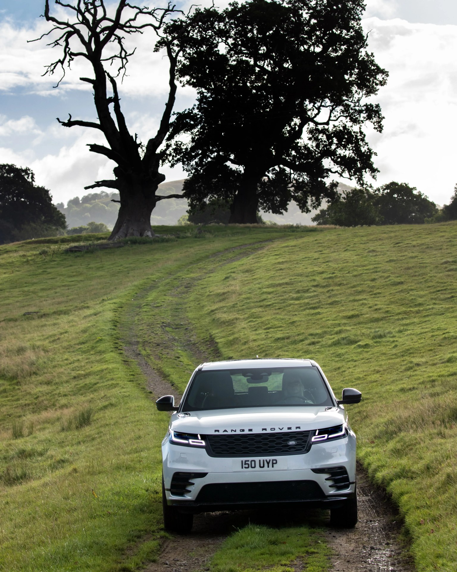 White Range Rover SUV on a narrow dirt path through green grassy hills with large trees in the background.