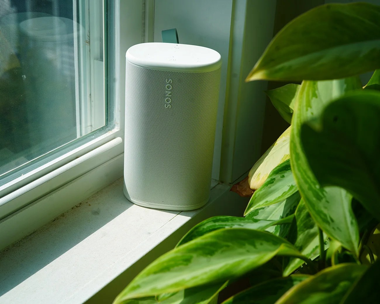 White Sonos wireless speaker on a sunlit windowsill next to green leafy plants.