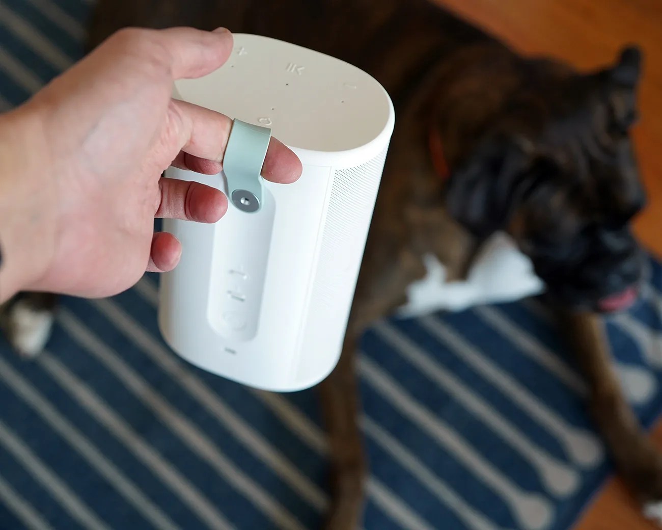 Hand holding a white portable speaker with a light blue strap, with a dog lying on a striped rug in the background.