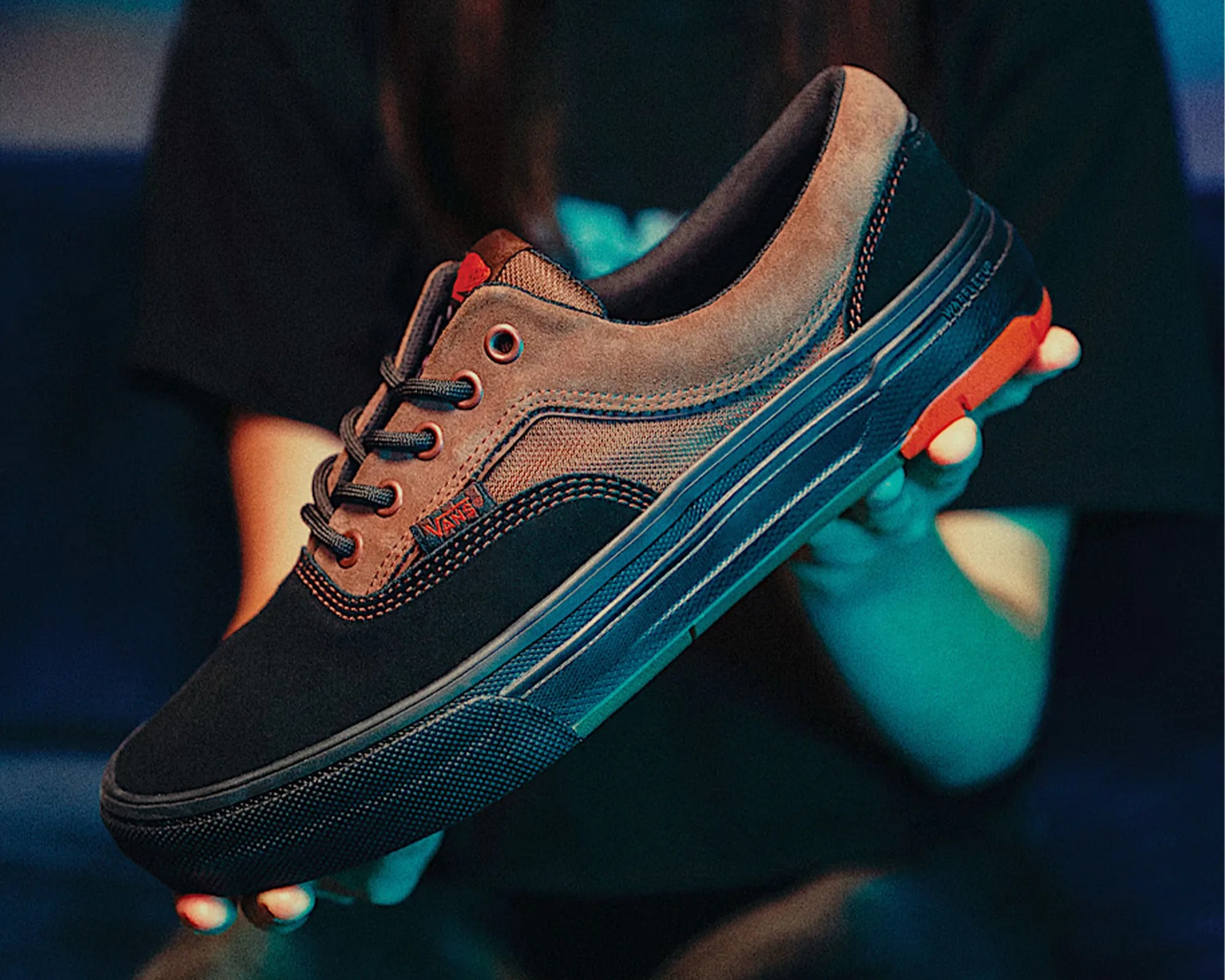 Black and gray Vans sneaker with red accents held in a person's hands against a dark background.