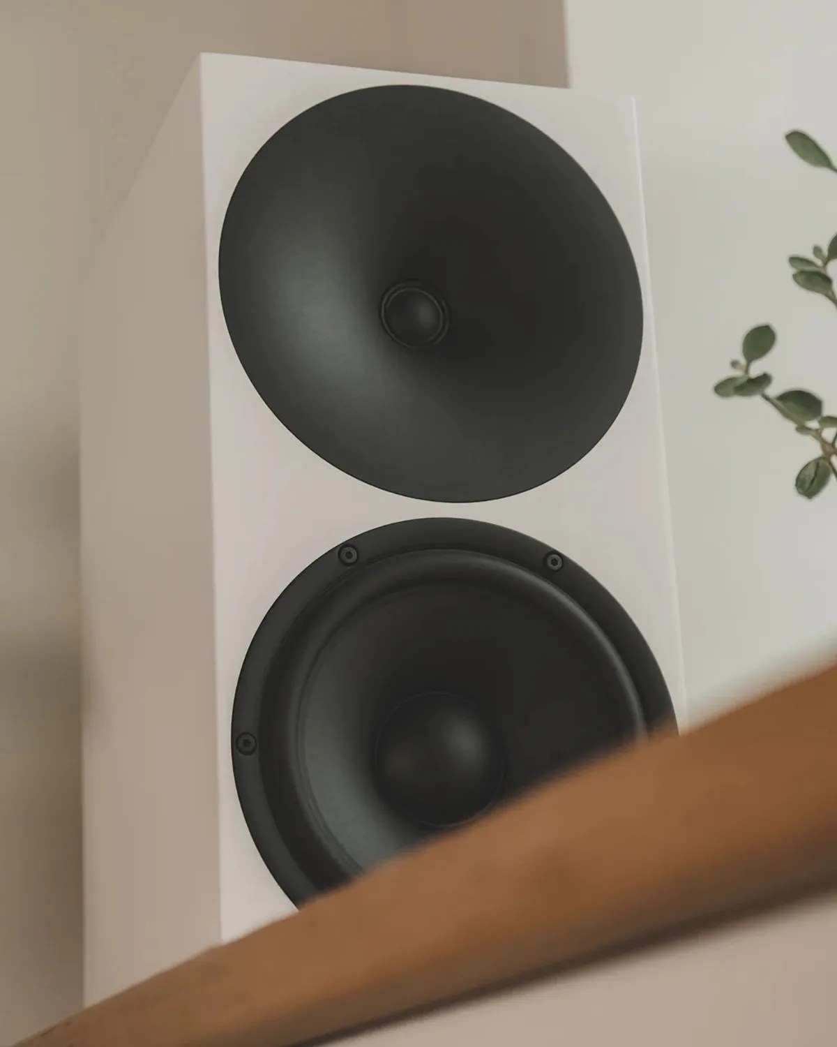White rectangular speaker with large black drivers on a shelf next to a plant.