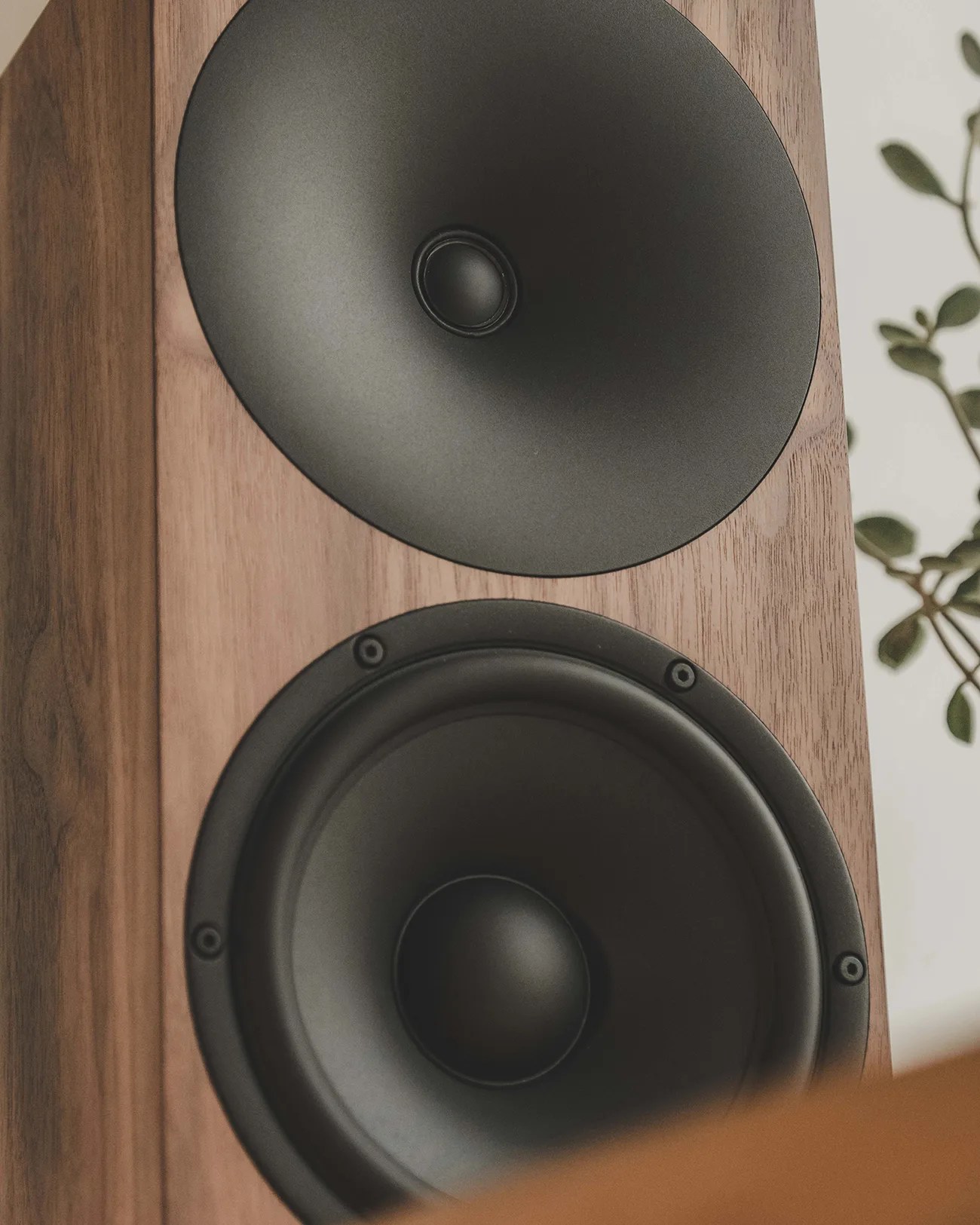 Wooden speaker cabinet with two black speaker cones, one large and one smaller, with a plant in the background.