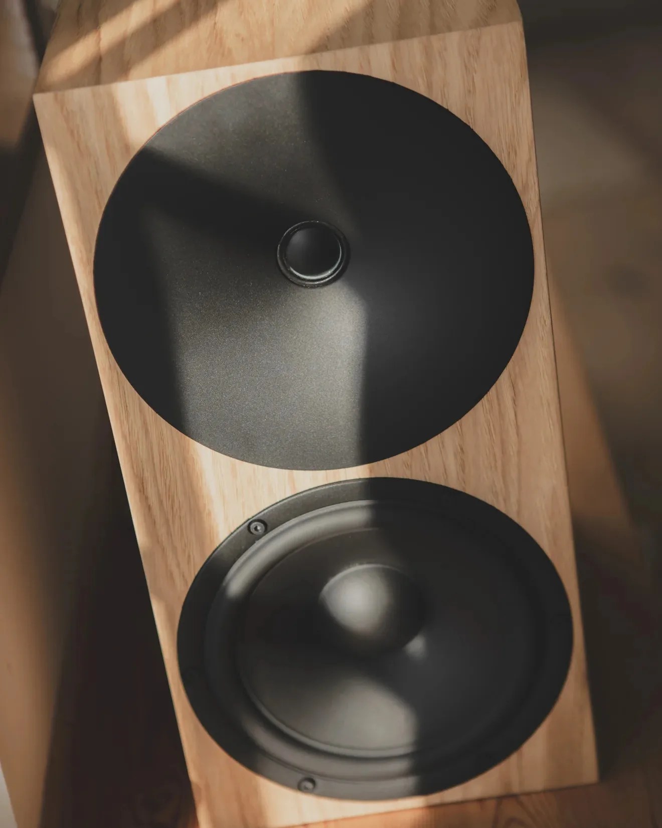 Wooden speaker cabinet with two black speaker drivers, one large and one smaller, in natural light.