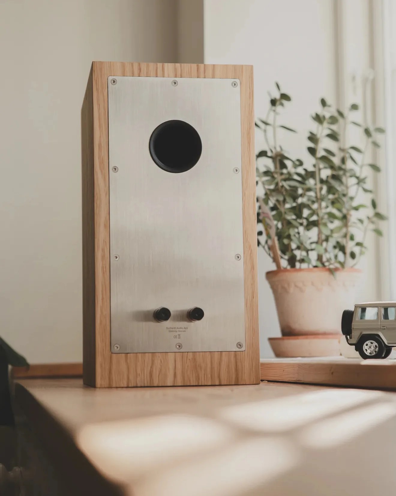 Wooden speaker with metal back panel and two black knobs on a light-colored table near a potted plant and toy car.