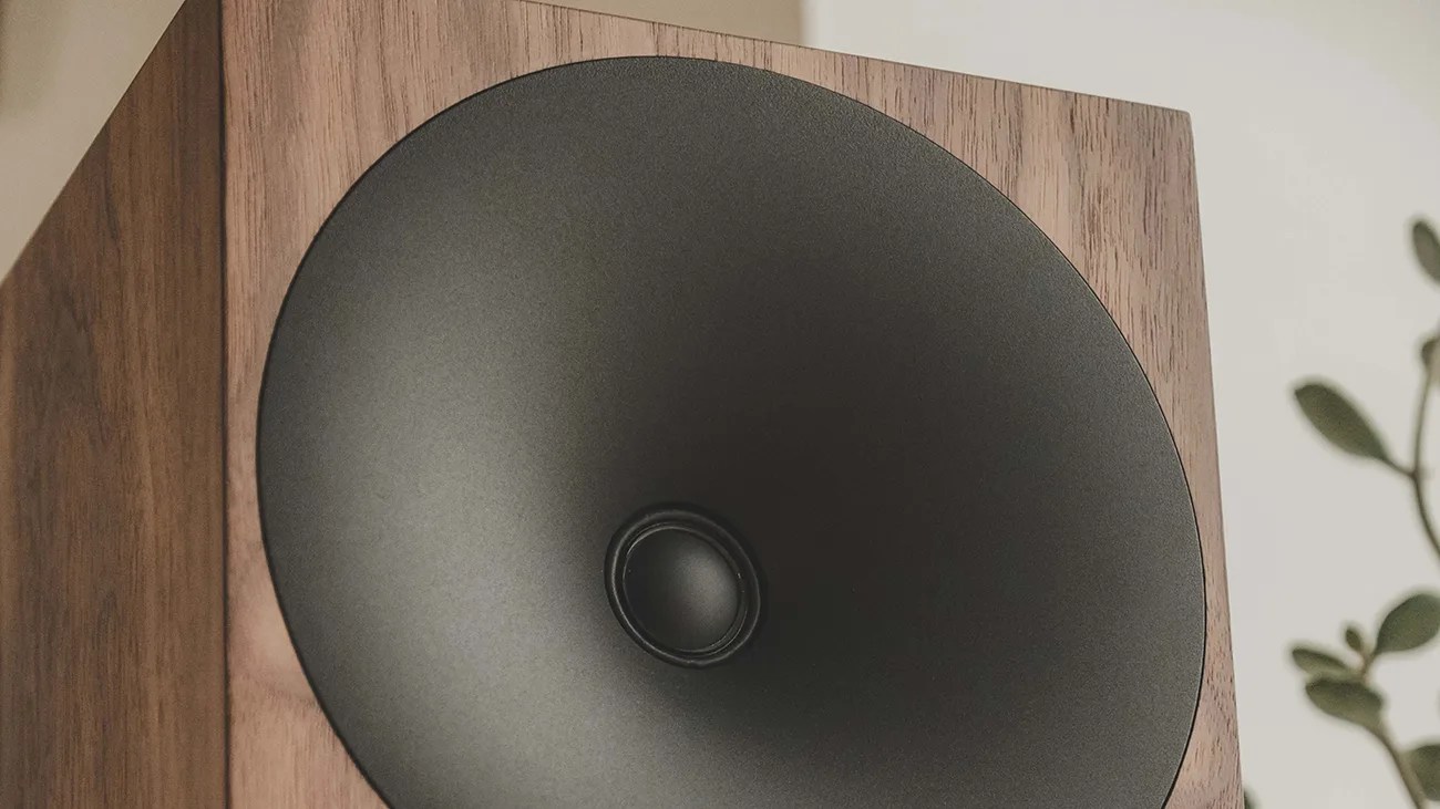 Close-up of a black speaker cone mounted in a wooden speaker cabinet with a plant blurred in the background.