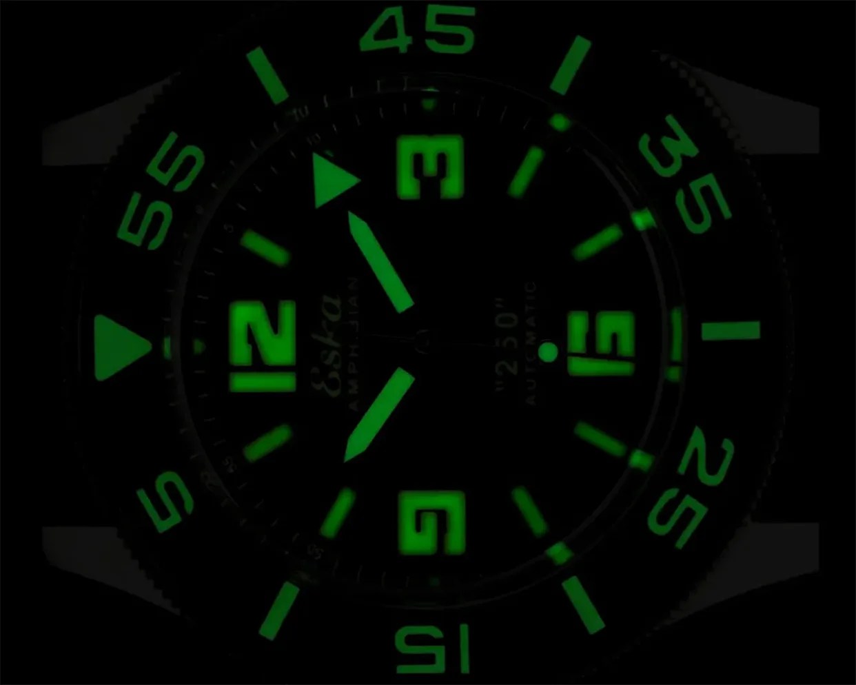Watch dial with green luminescent numerals and markers, including 12, 3, 6, 9, and minute markers on bezel.