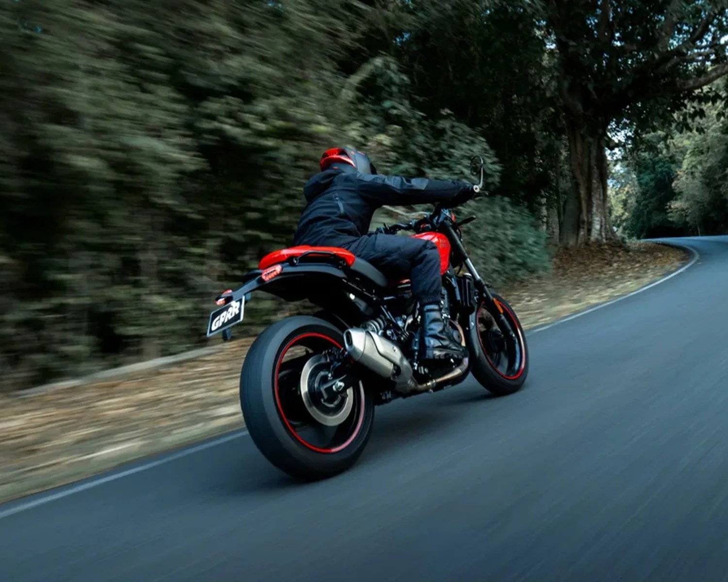 Motorcyclist in black gear riding a red and black sport motorcycle on a winding forest road.