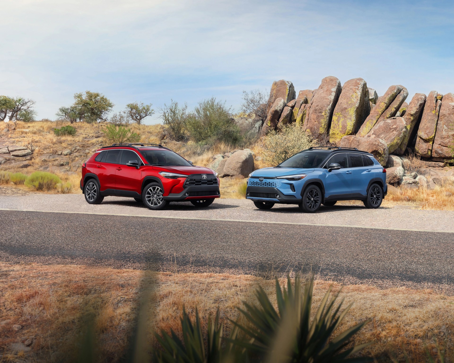Red and blue Toyota SUVs parked side by side on a desert road with rocky terrain and sparse vegetation.