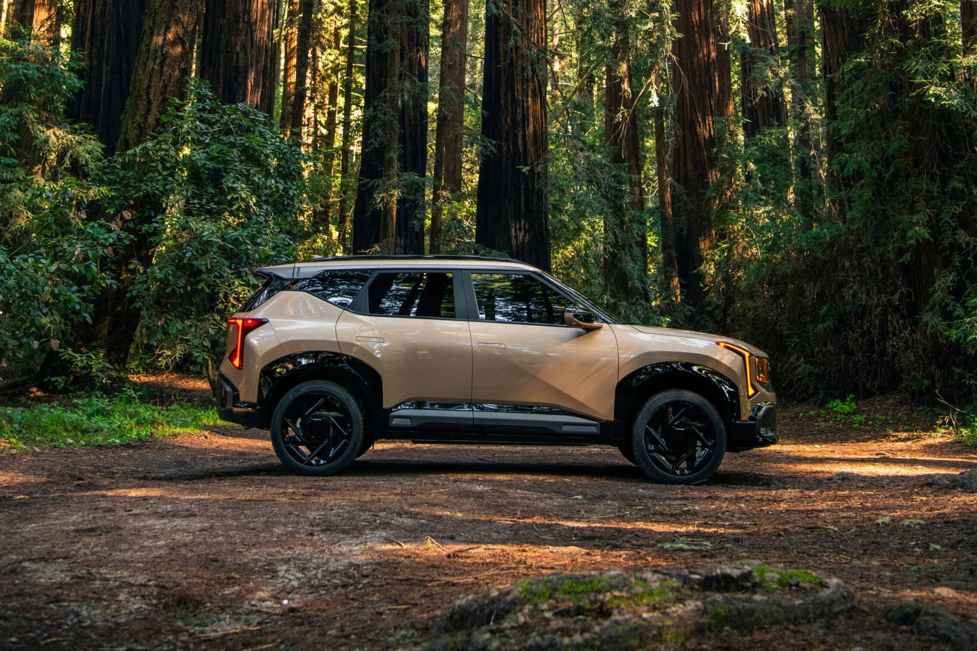 Beige and black compact SUV with angular design parked on a forest floor surrounded by tall trees.