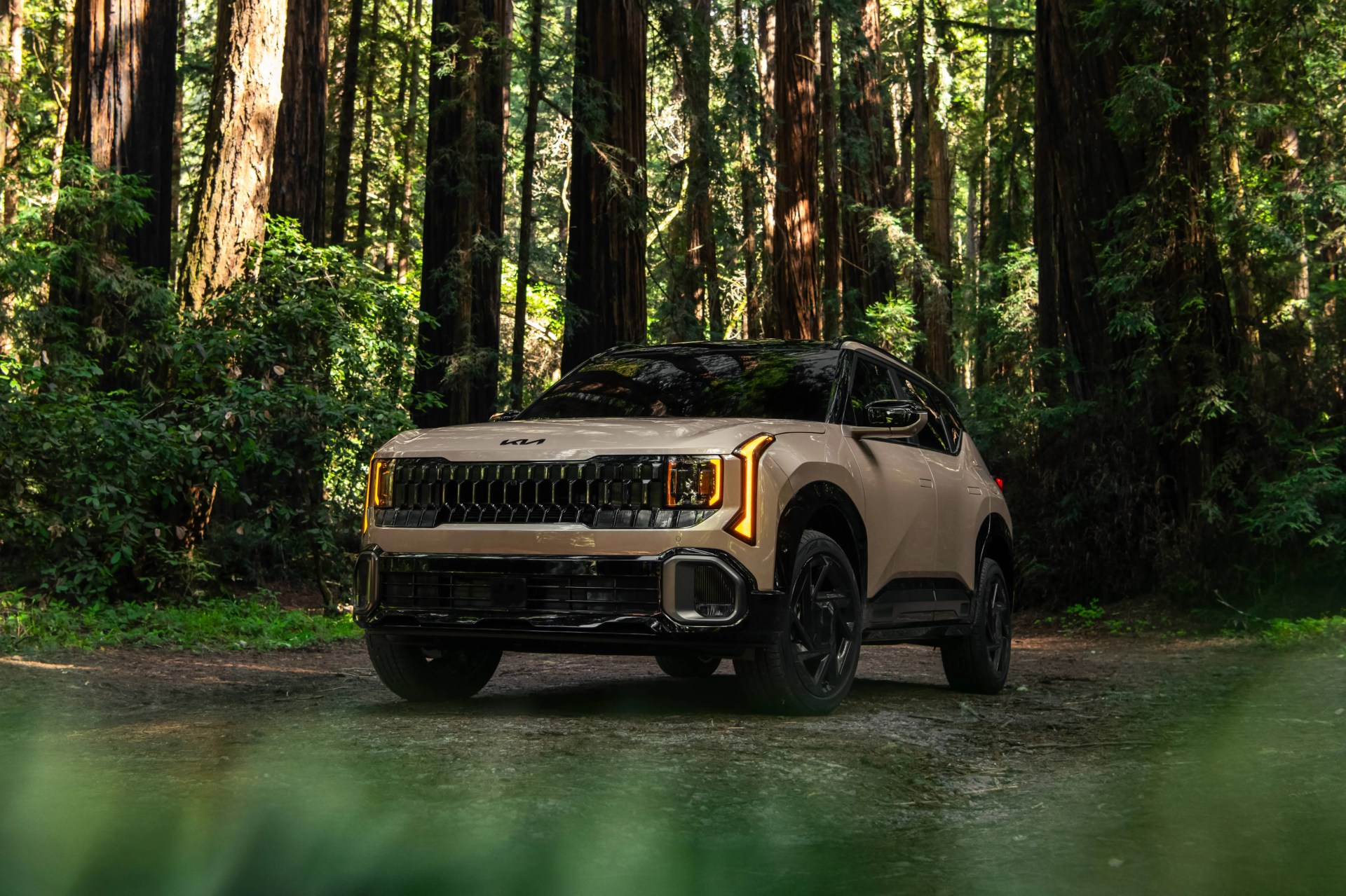 Beige Kia SUV with black roof and illuminated headlights parked on a forest trail surrounded by tall trees.