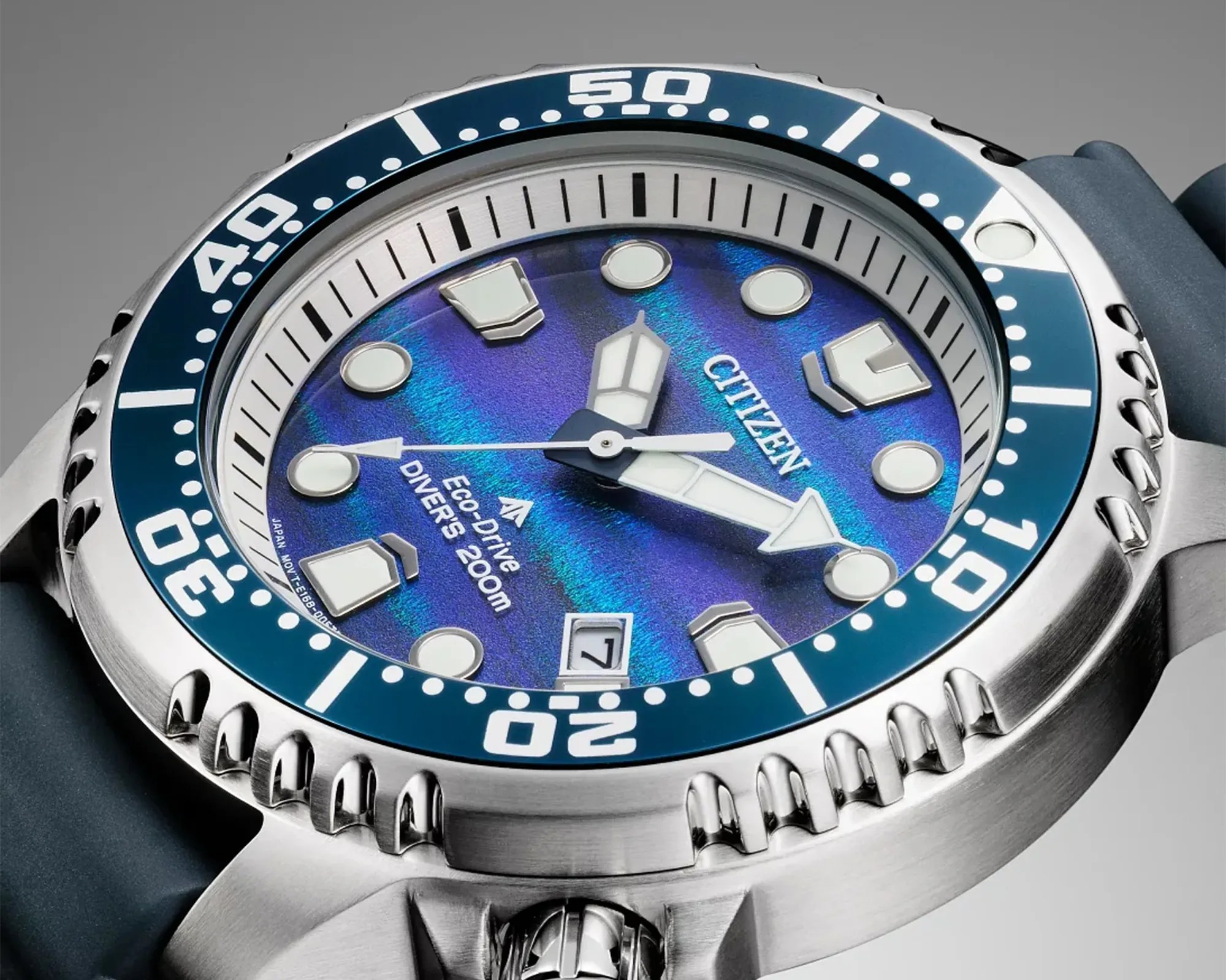Close-up of a Citizen Eco-Drive diver's watch with a blue iridescent dial, silver markers, and a blue bezel.