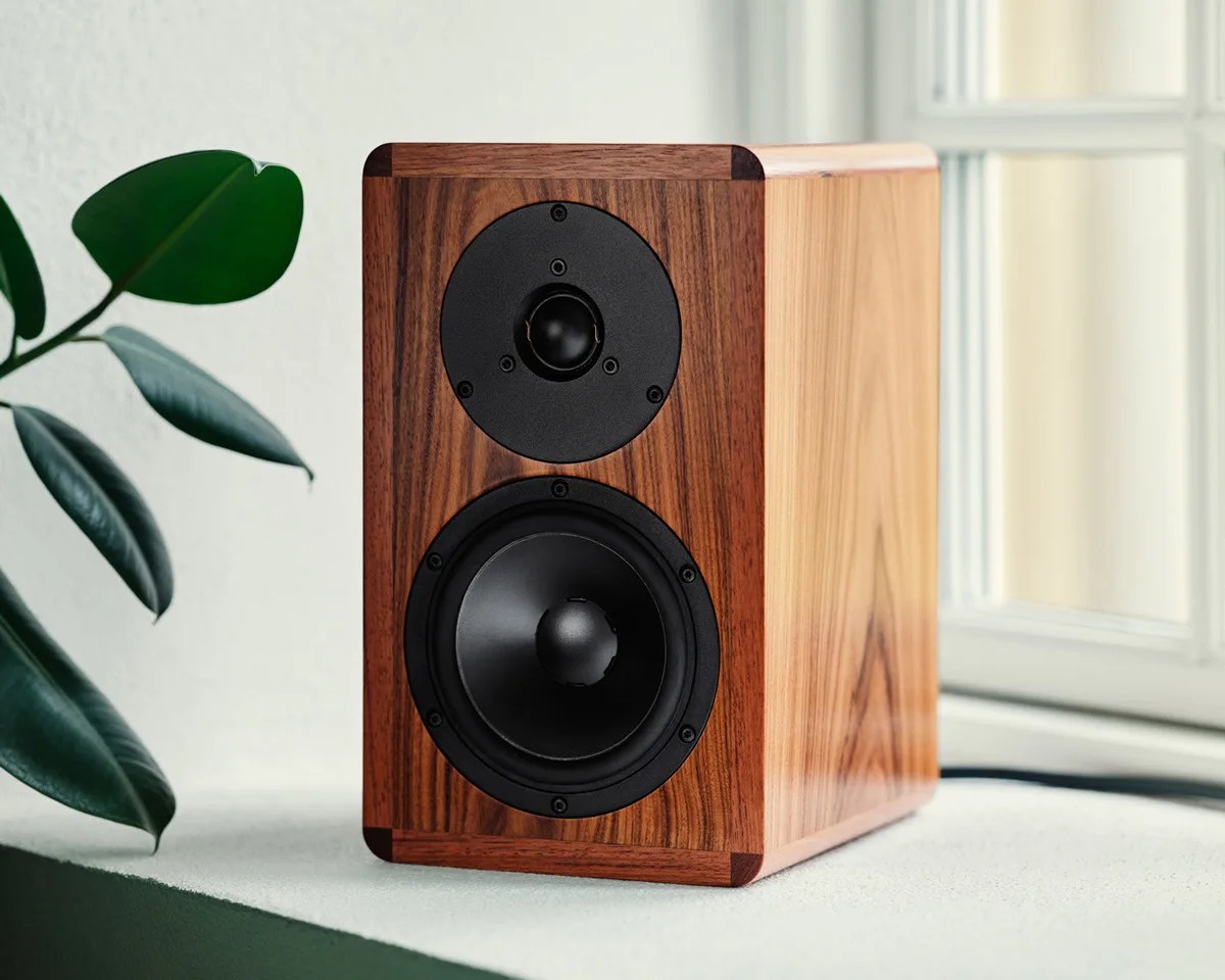 Wooden bookshelf speaker with black drivers placed on a white surface near a green plant and window.