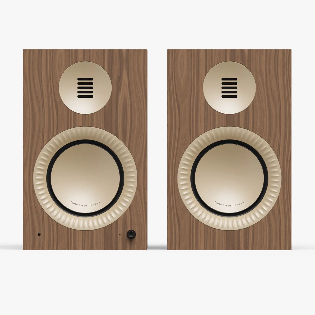 Pair of rectangular wooden speakers with gold-colored circular drivers and black control knob on the lower right speaker.