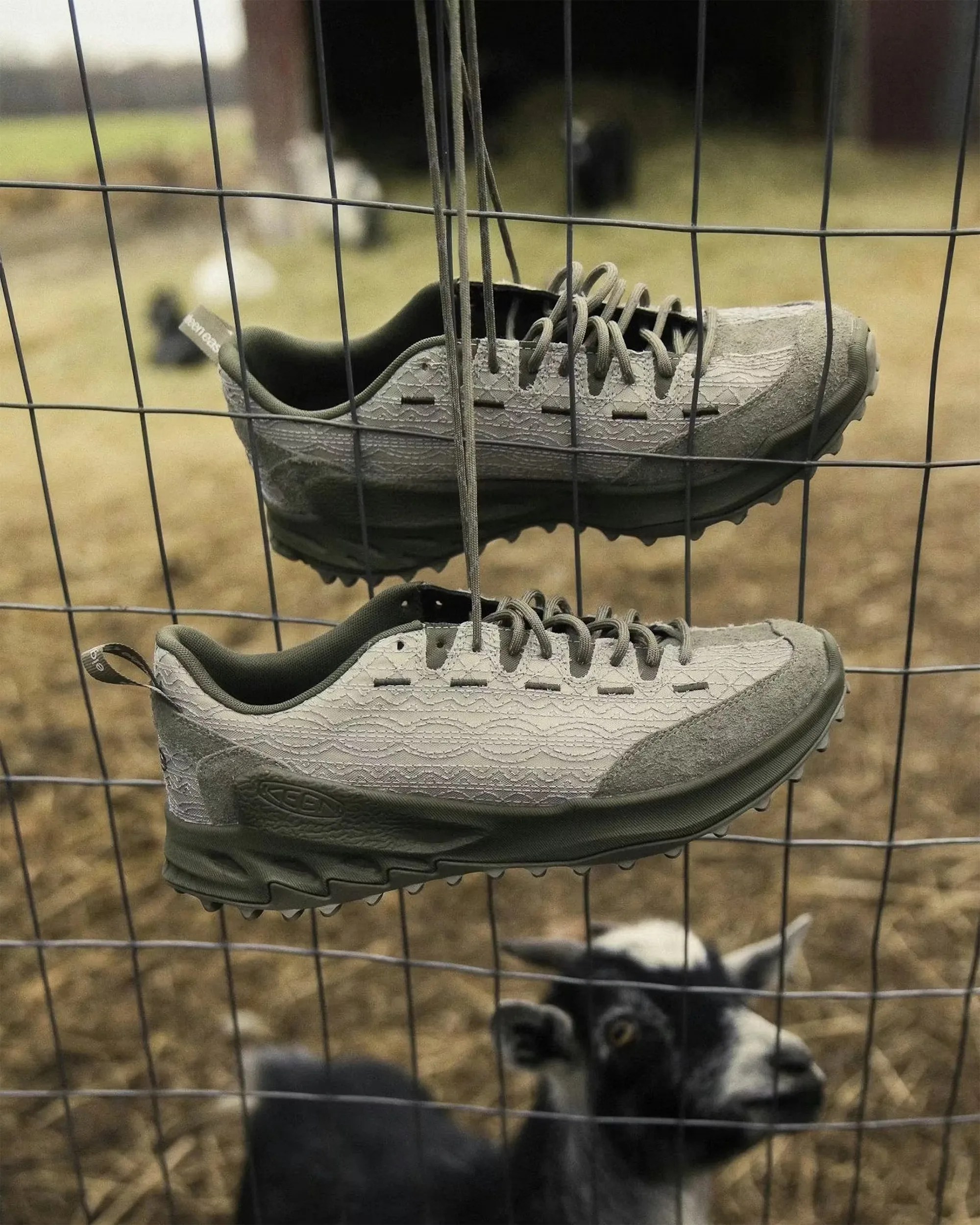 Pair of light gray and olive green hiking shoes hanging by their laces on a wire fence with a black and white goat behind.