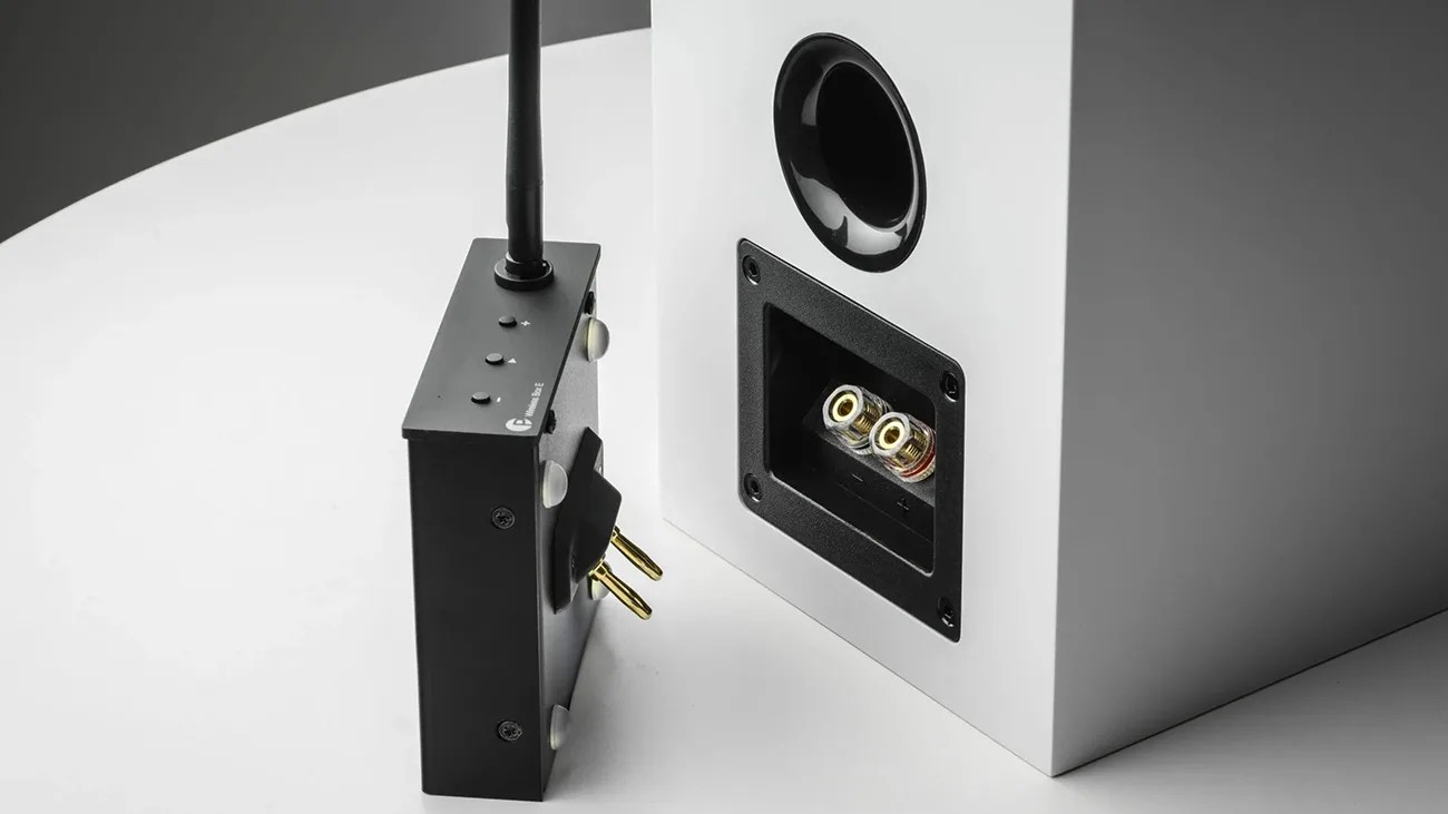 Black wireless audio transmitter with antenna and gold-plated connectors next to a white speaker's rear panel.