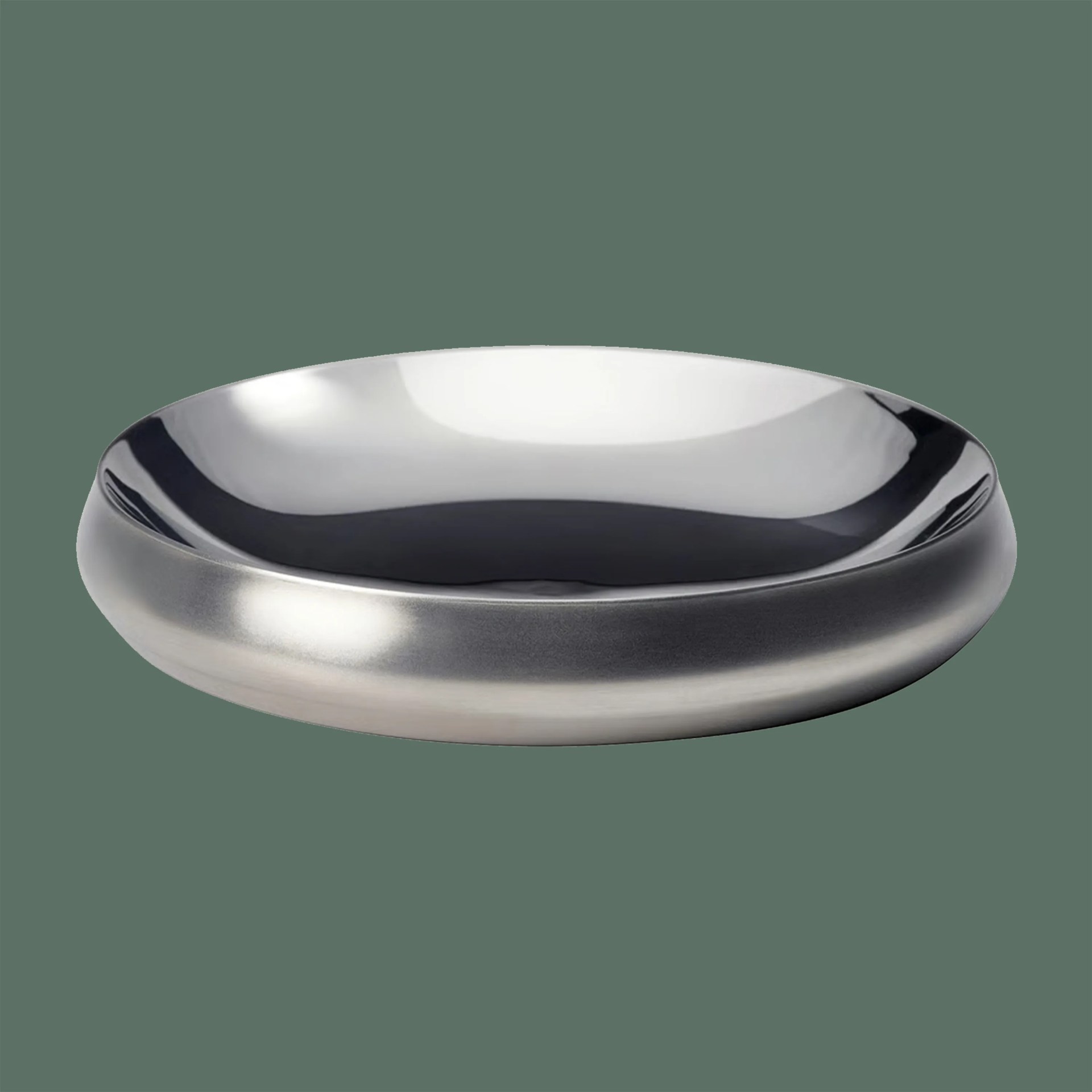Round shallow stainless steel bowl with a smooth, reflective surface on a plain background.