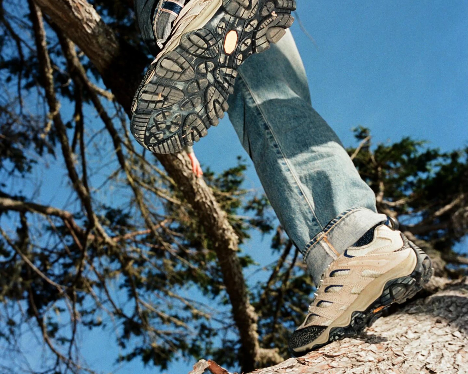 Beige and black hiking shoes worn with light blue jeans on a tree branch against a clear blue sky.