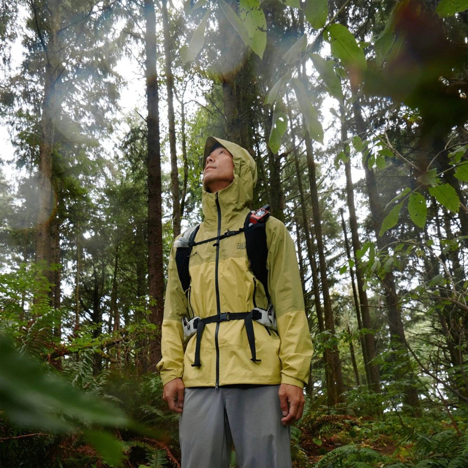 Person wearing a light green hooded jacket and gray pants with a black backpack in a forest.